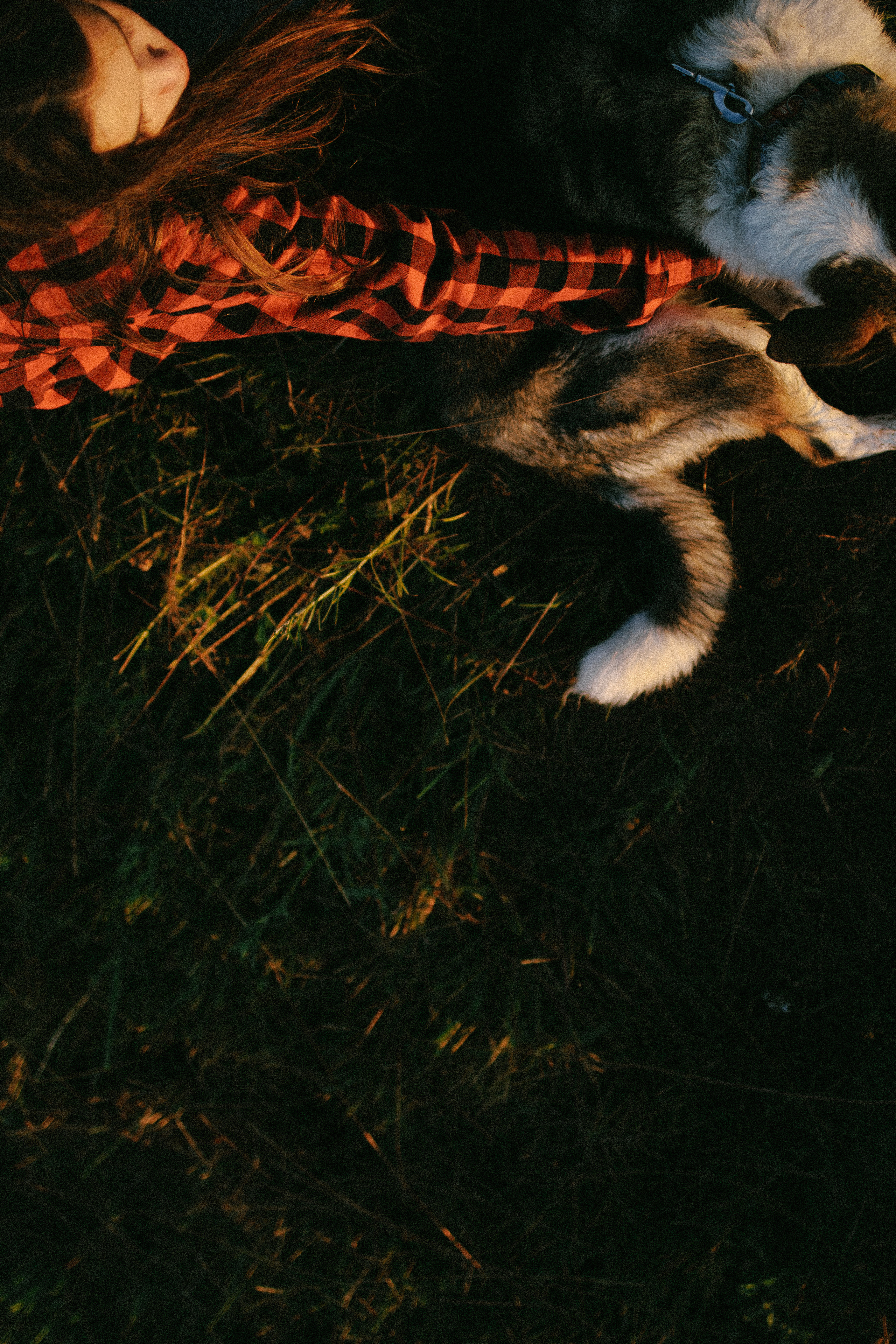 Девочки и рассвет. Фотораф — анималист Мария Шистка