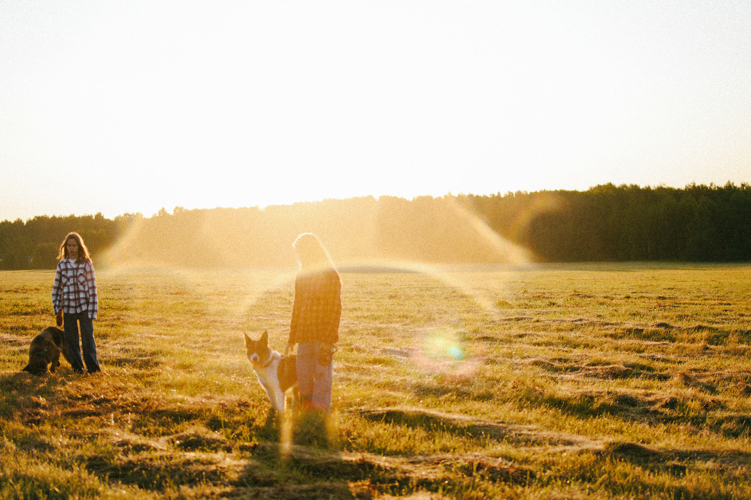 Девочки и рассвет. Фотораф — анималист Мария Шистка