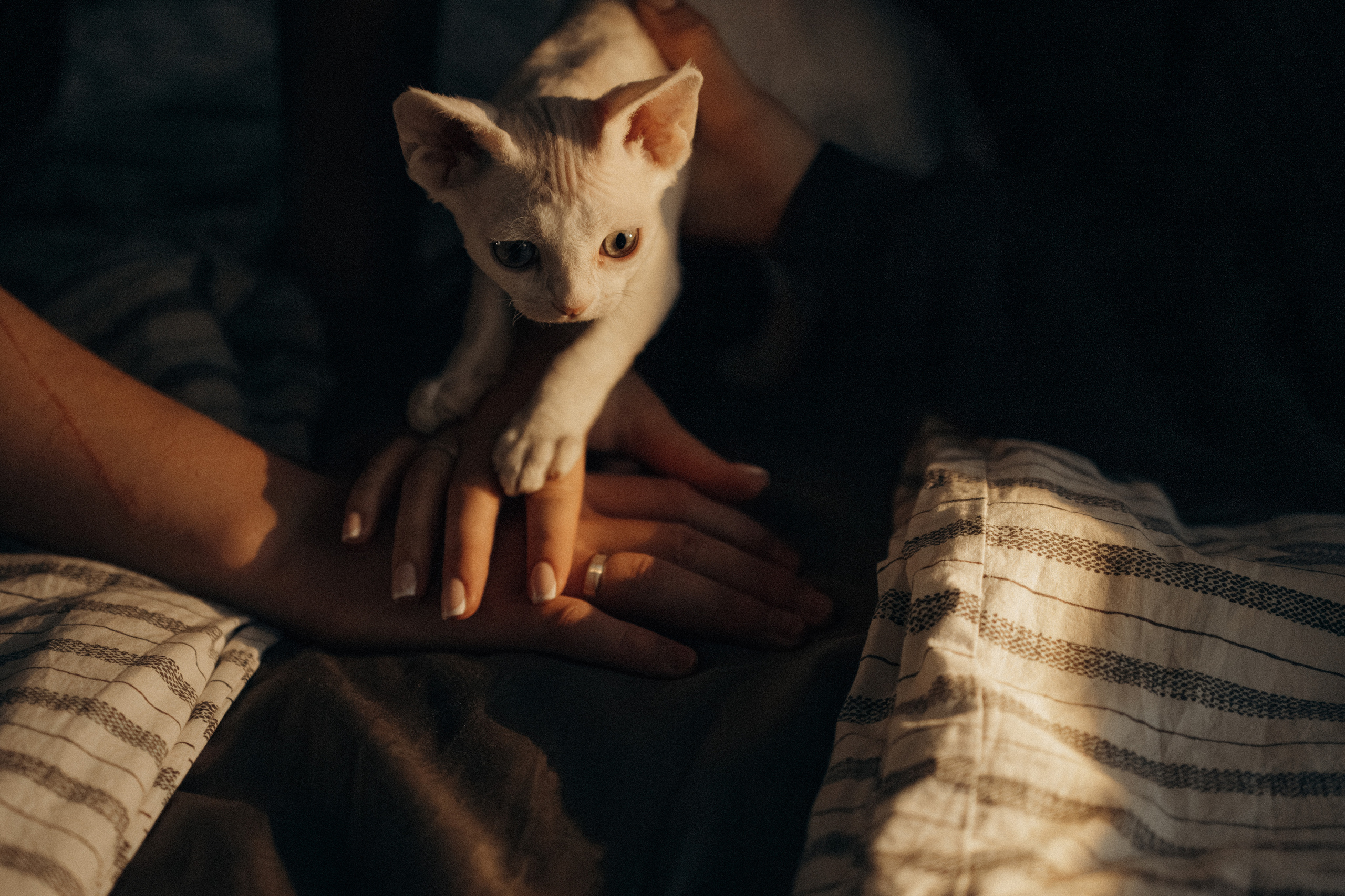 Этери, Саша и Эвия. Фотораф — анималист Мария Шистка