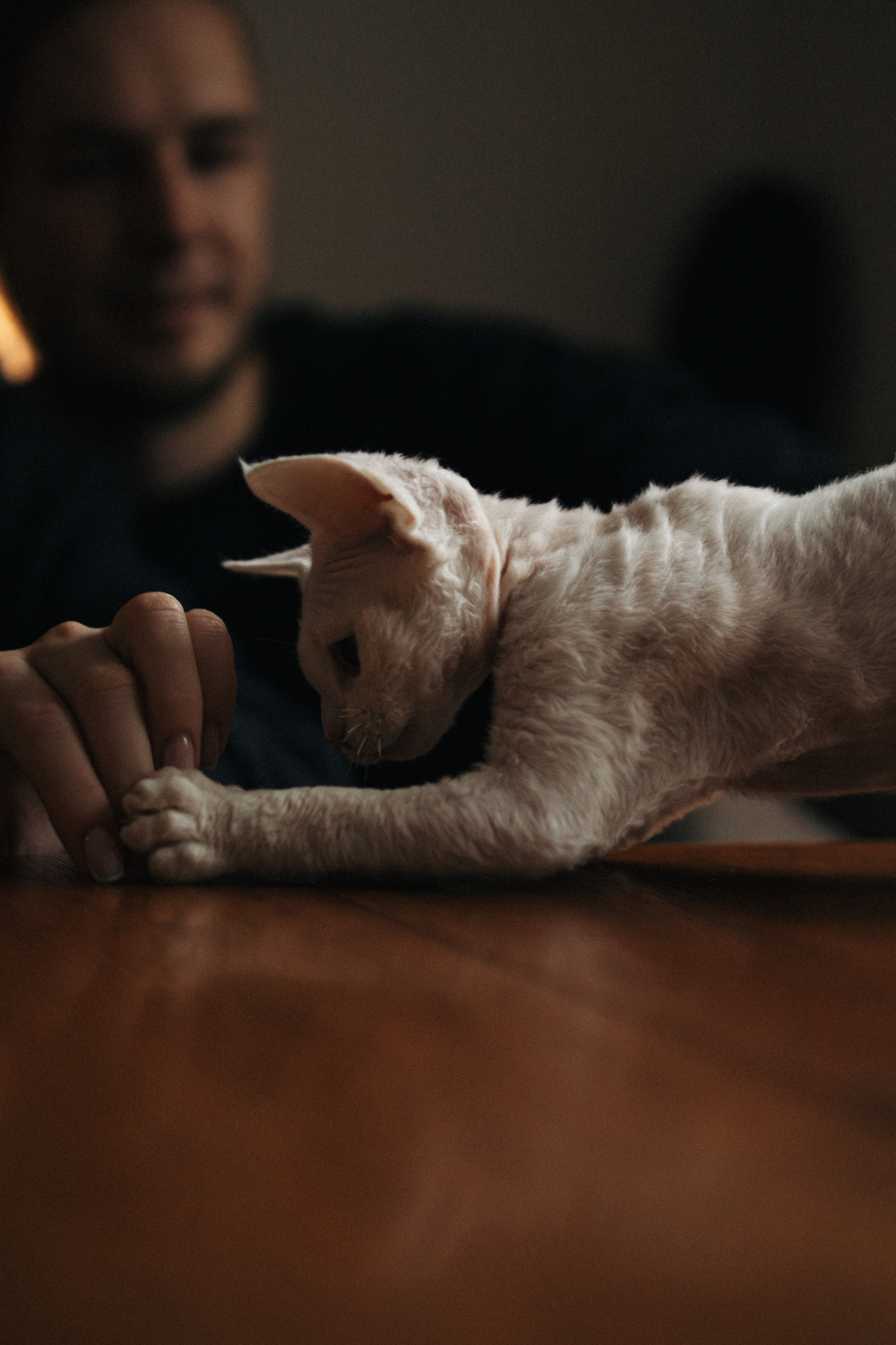 Этери, Саша и Эвия. Фотораф — анималист Мария Шистка