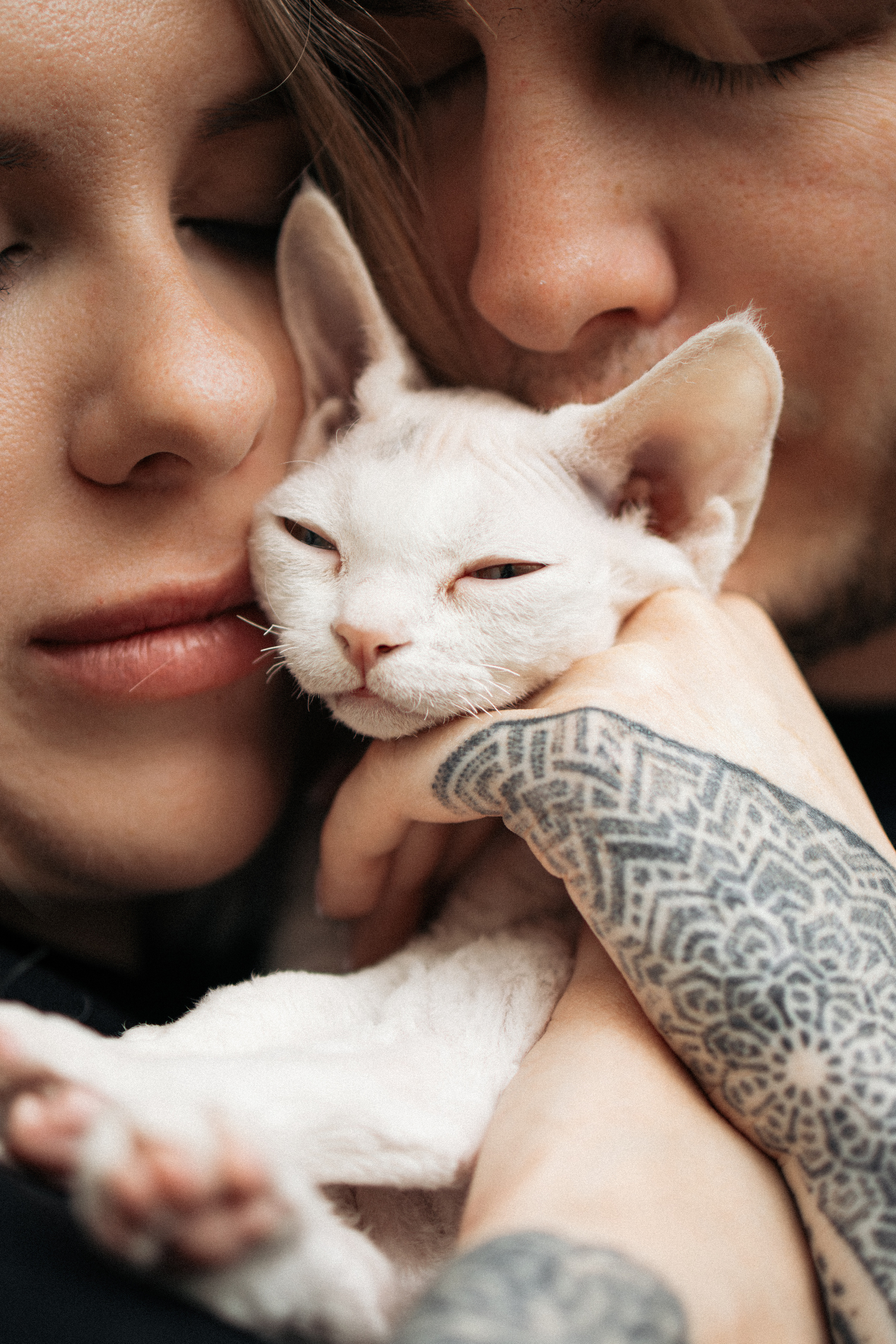 Этери, Саша и Эвия. Фотораф — анималист Мария Шистка