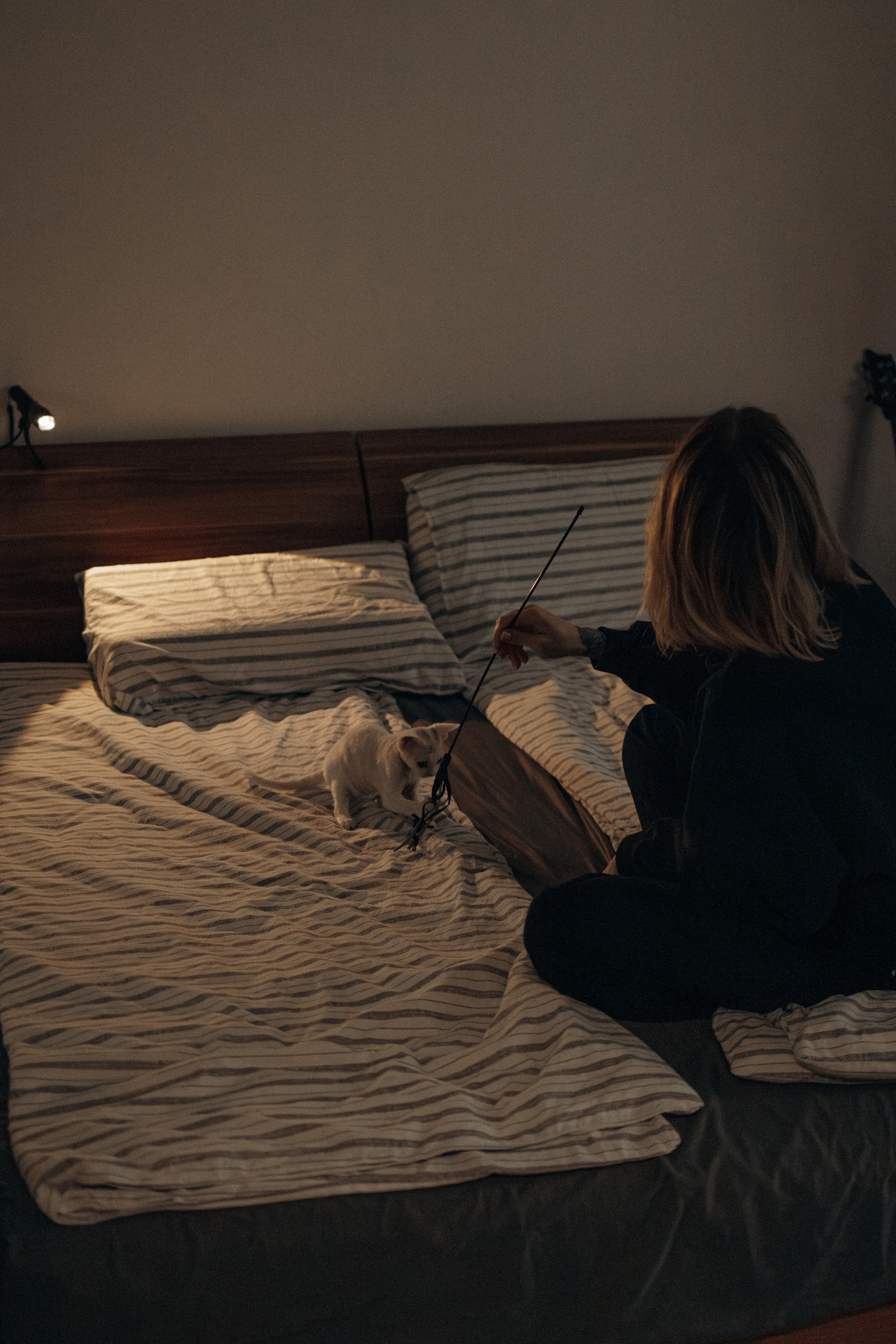 Этери, Саша и Эвия. Фотораф — анималист Мария Шистка