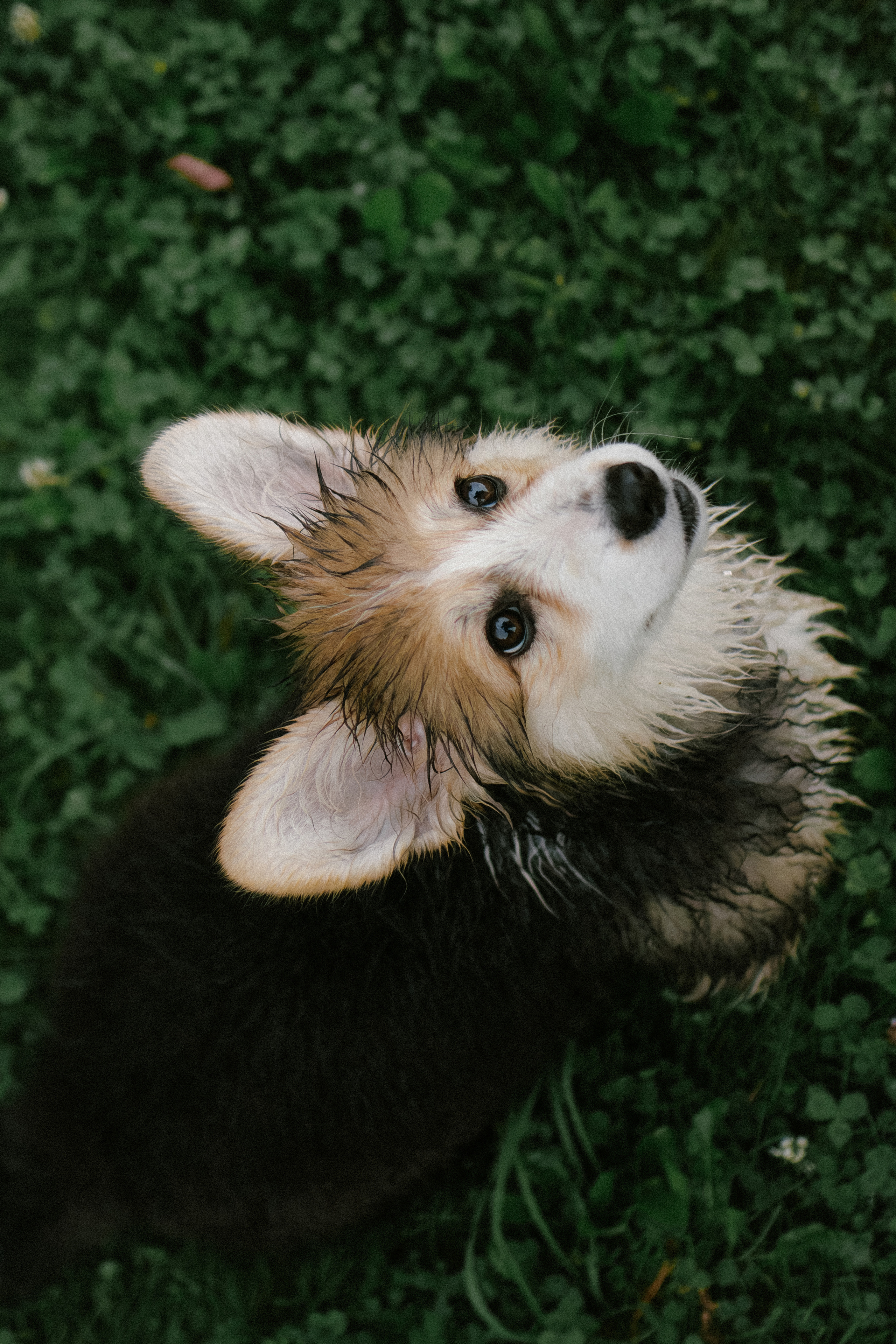 Влада и Мишель. Фотораф — анималист Мария Шистка