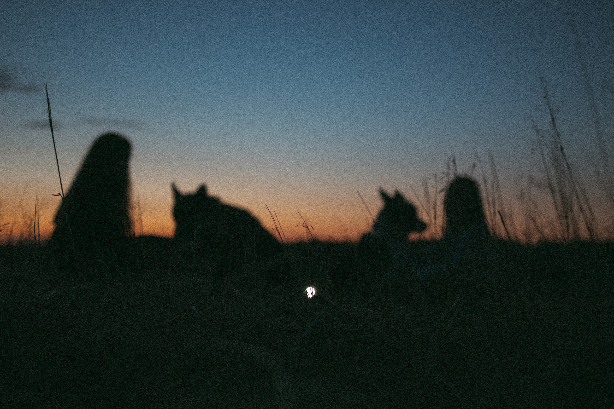 Девочки и рассвет. Фотораф — анималист Мария Шистка