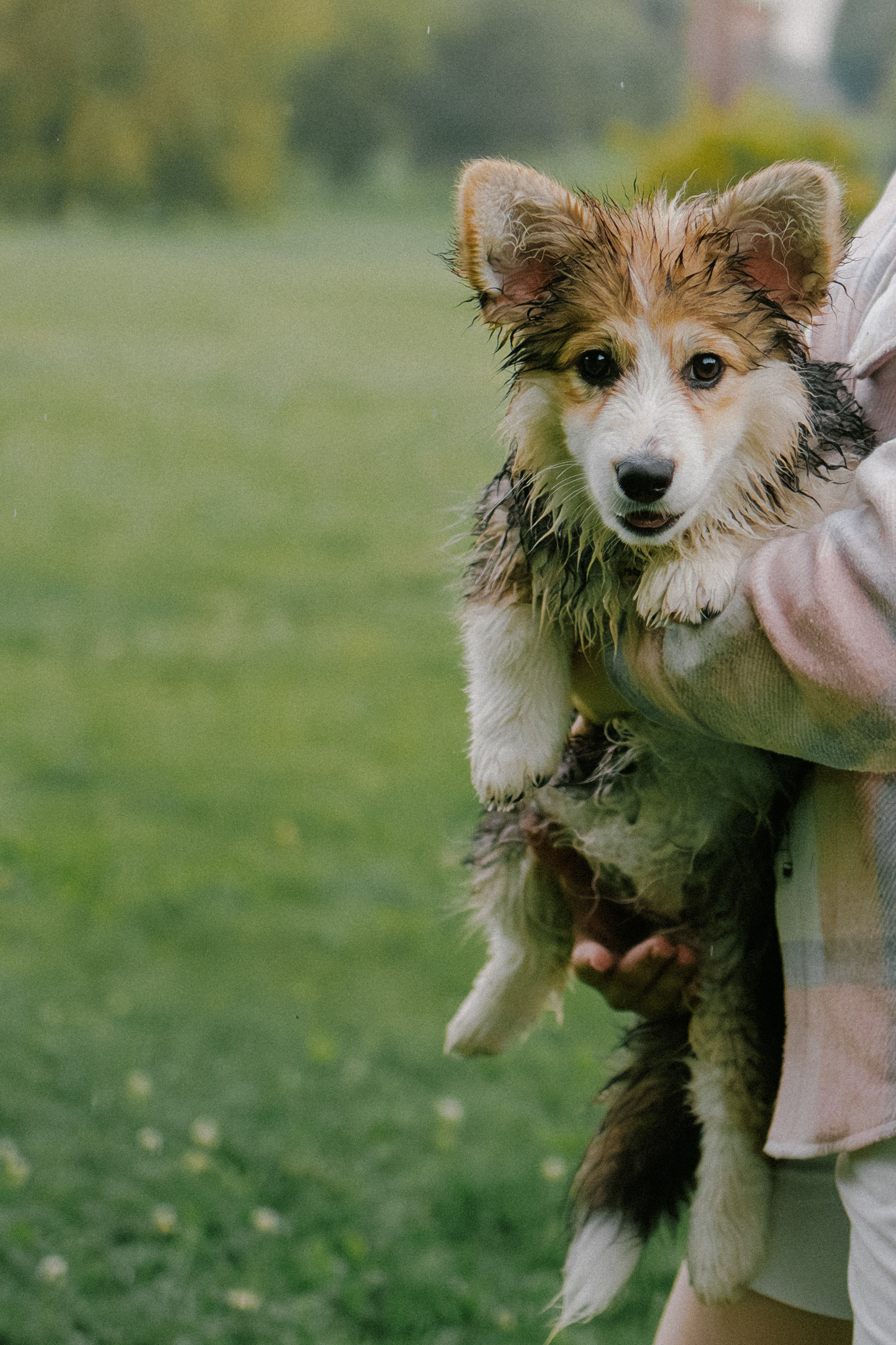 Влада и Мишель. Фотораф — анималист Мария Шистка