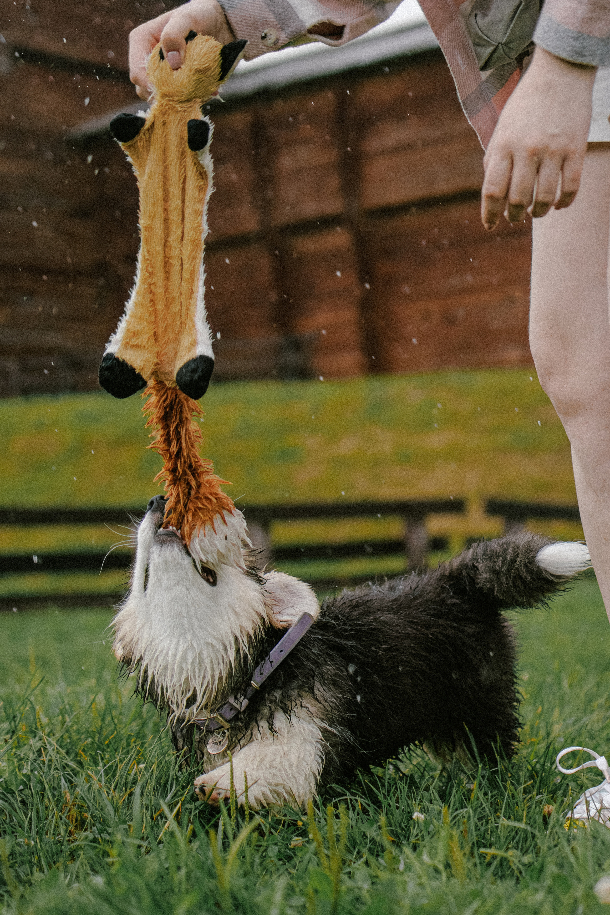 Влада и Мишель. Фотораф — анималист Мария Шистка