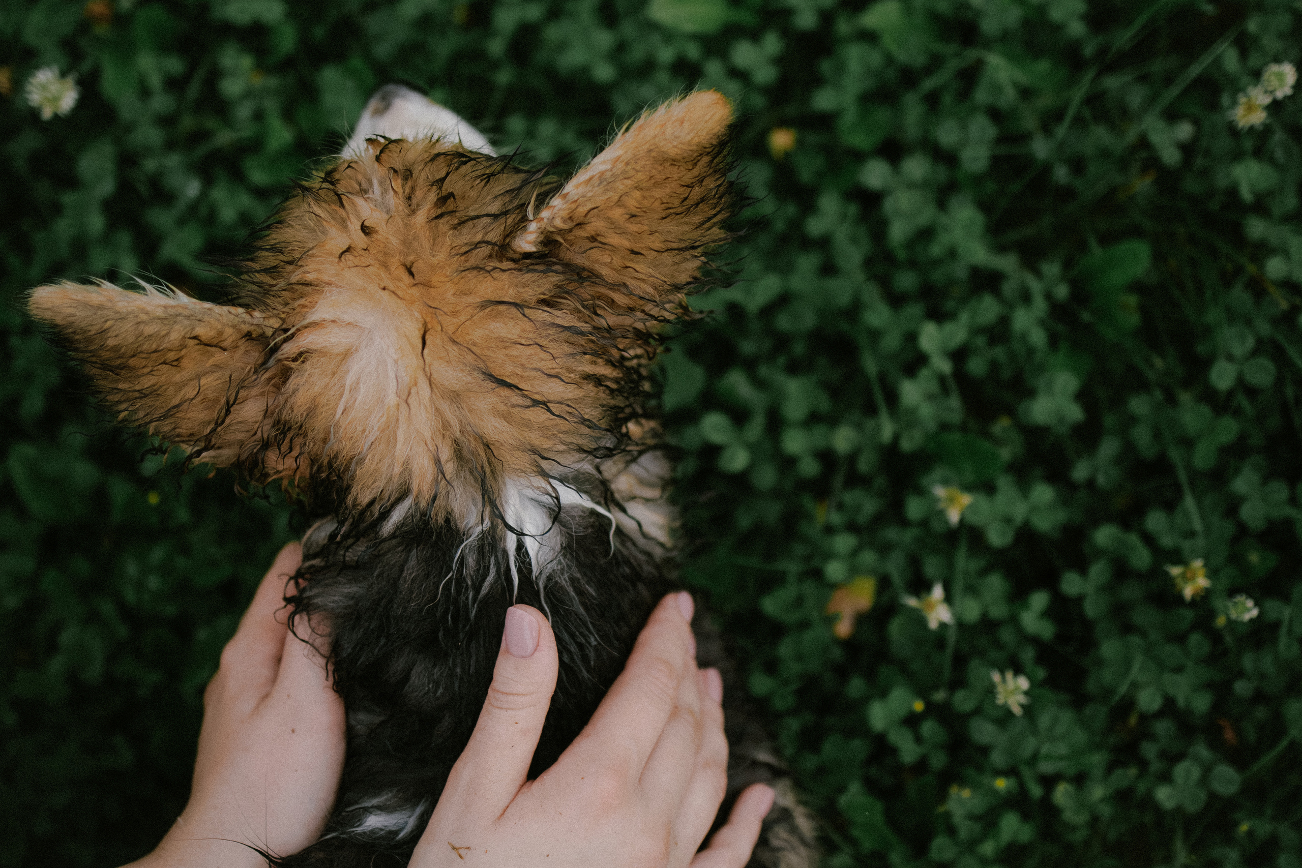 Влада и Мишель. Фотораф — анималист Мария Шистка