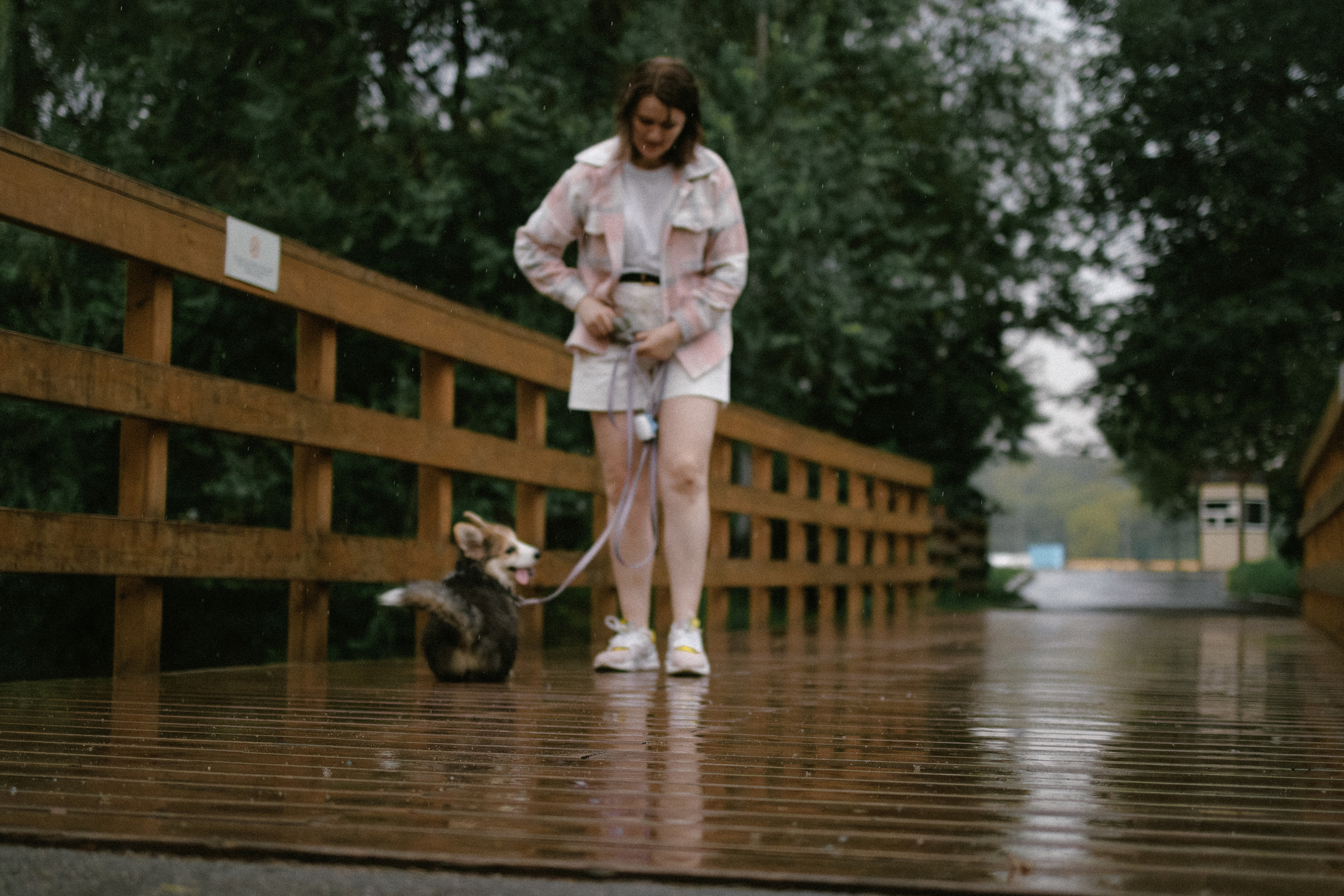 Влада и Мишель. Фотораф — анималист Мария Шистка