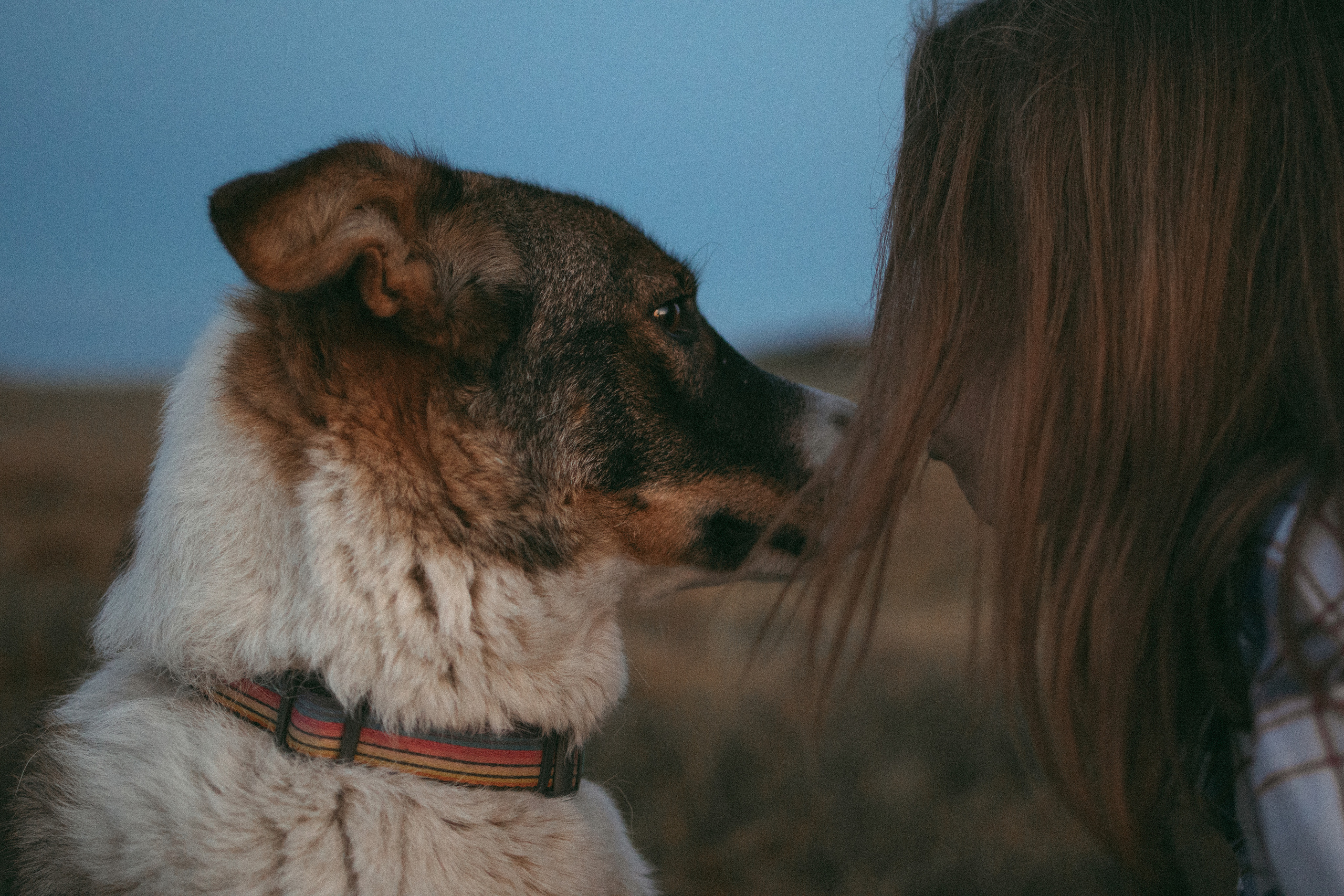 Девочки и рассвет. Фотораф — анималист Мария Шистка