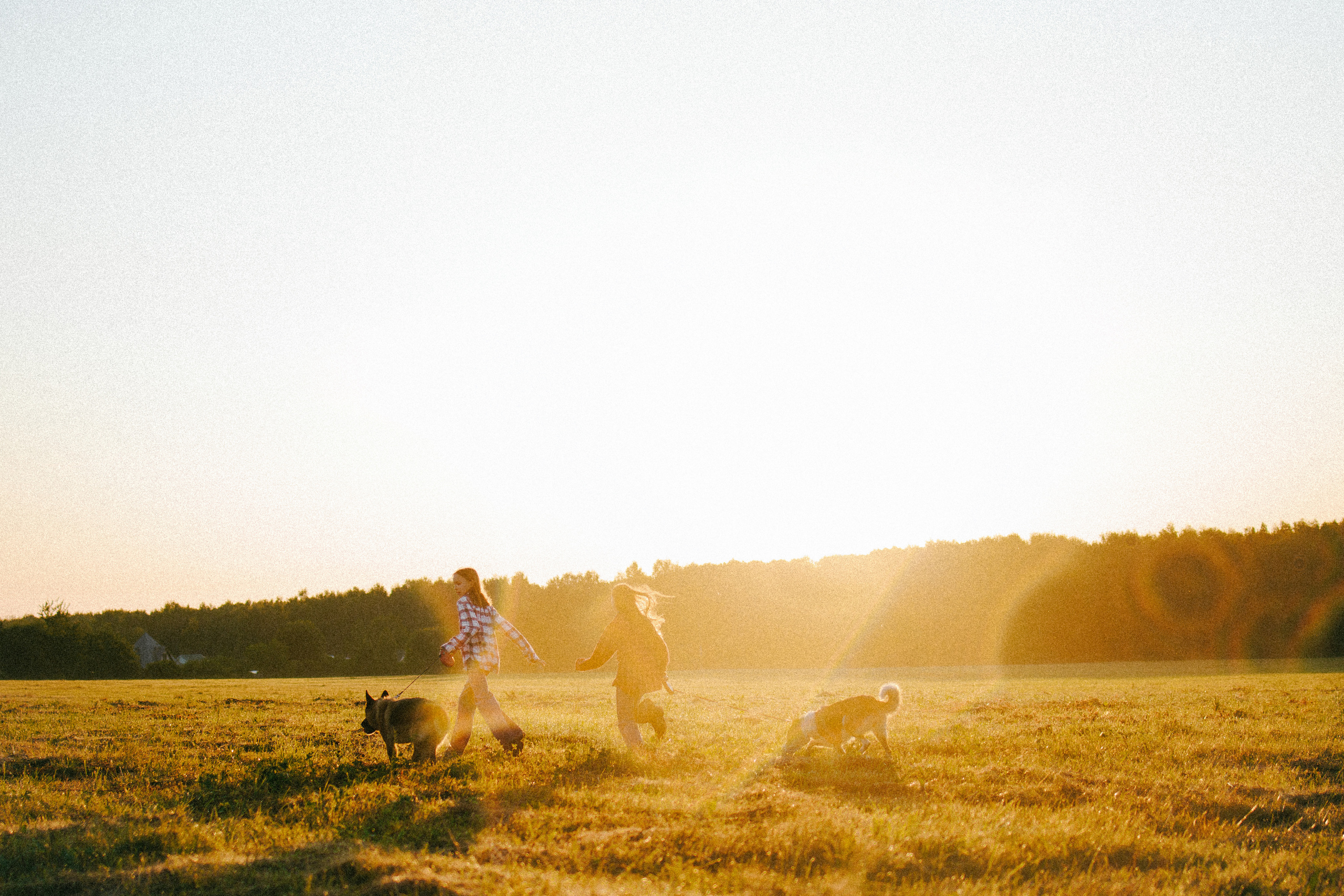 Девочки и рассвет. Фотораф — анималист Мария Шистка