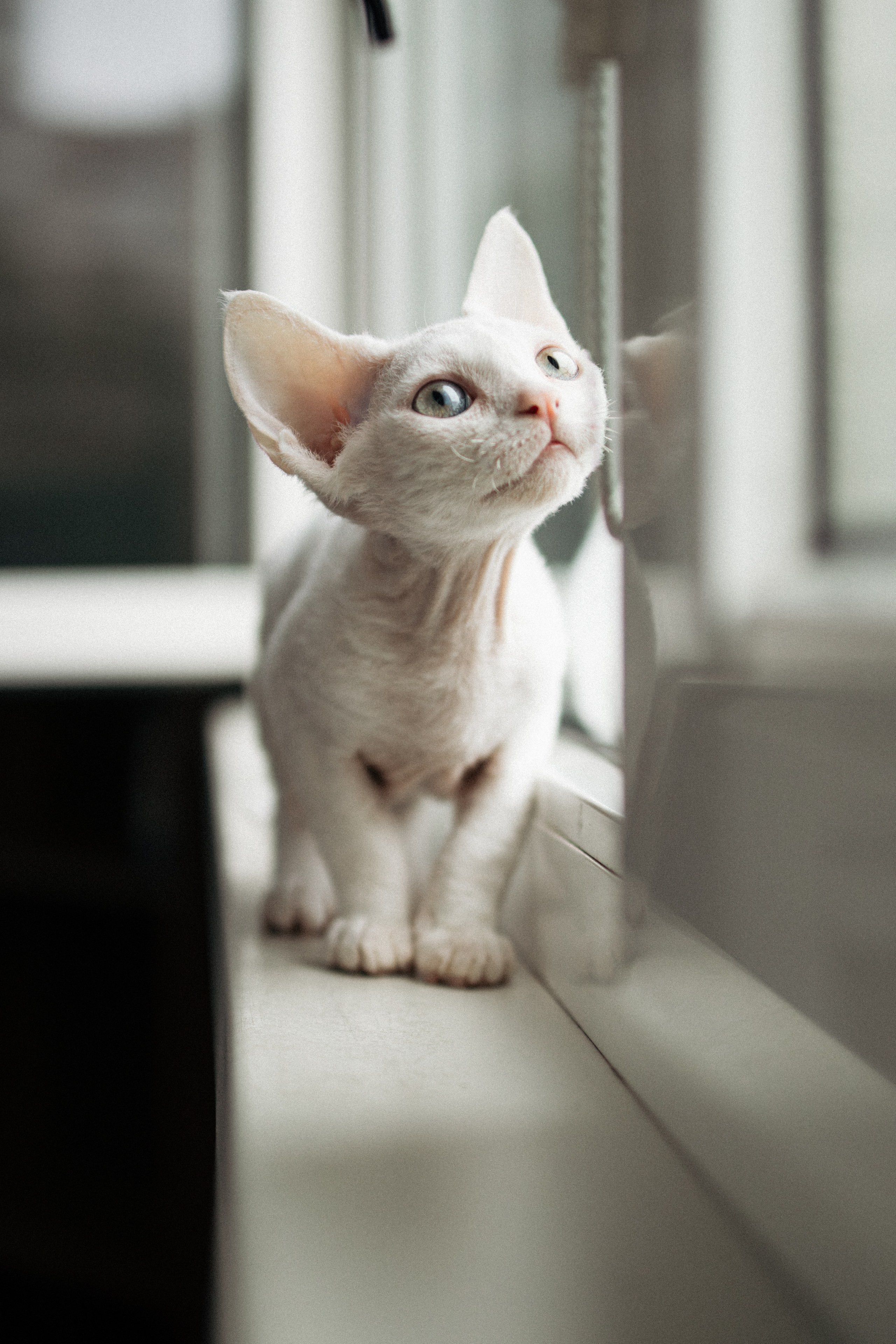 Этери, Саша и Эвия. Фотораф — анималист Мария Шистка