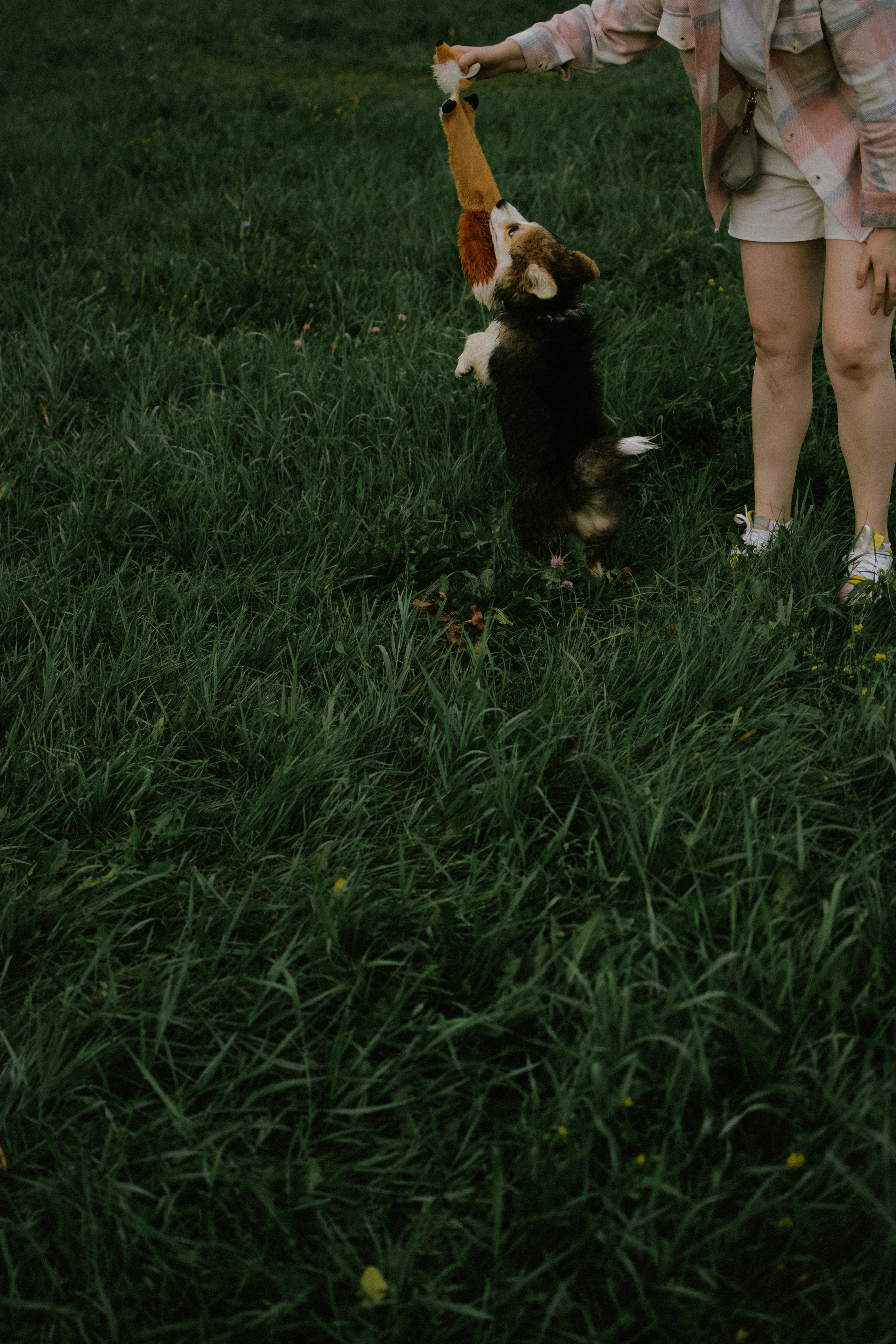 Влада и Мишель. Фотораф — анималист Мария Шистка