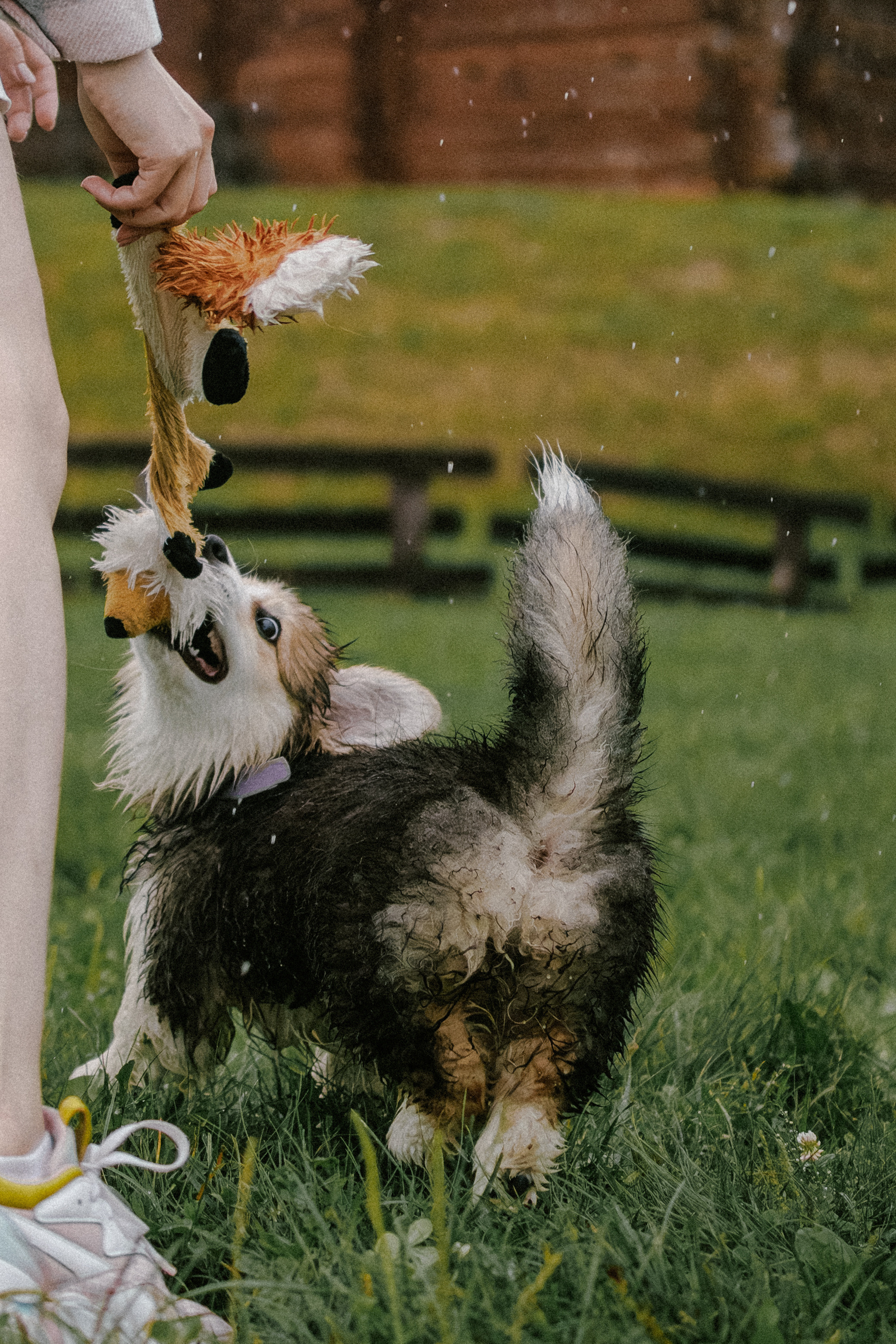 Влада и Мишель. Фотораф — анималист Мария Шистка