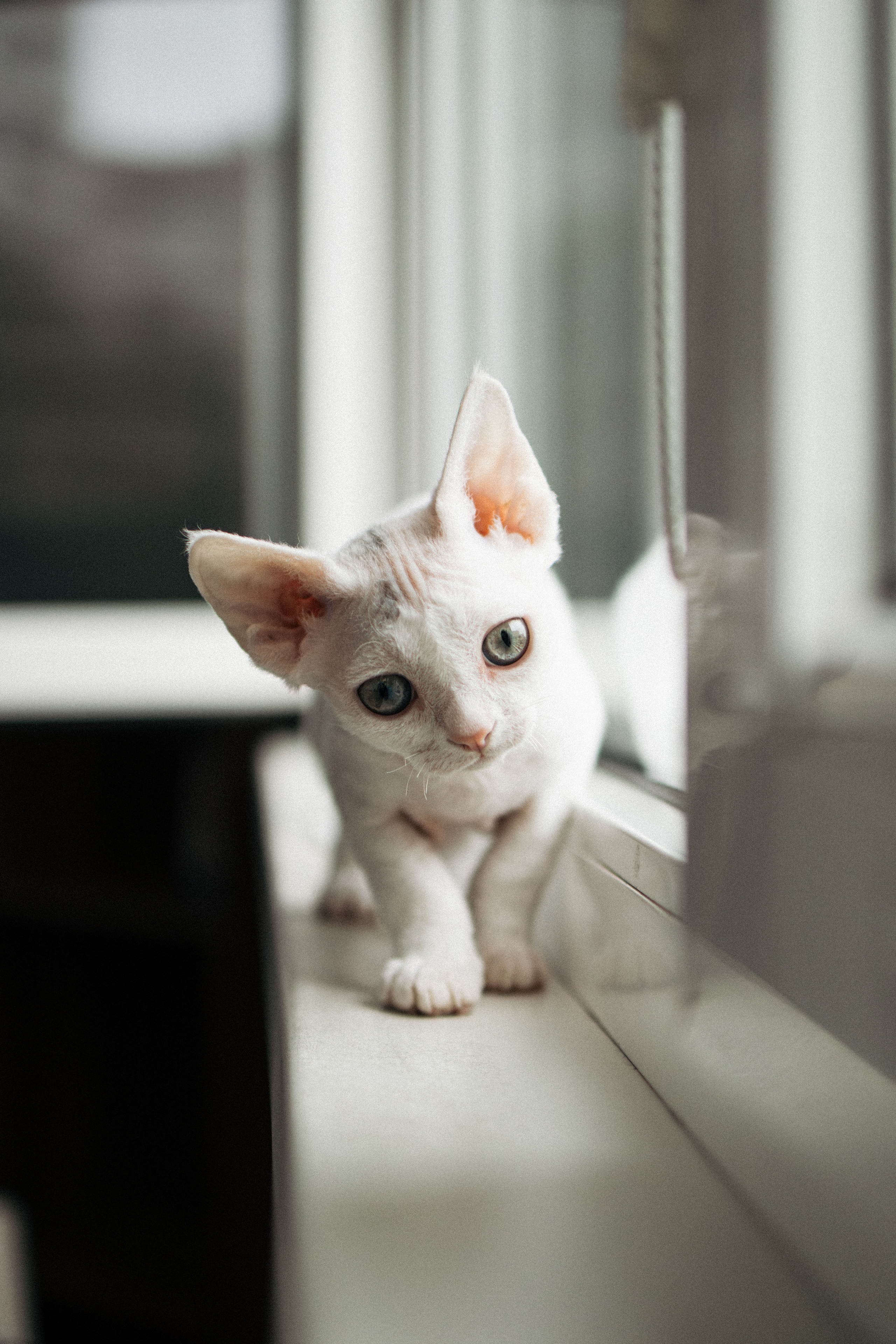 Этери, Саша и Эвия. Фотораф — анималист Мария Шистка