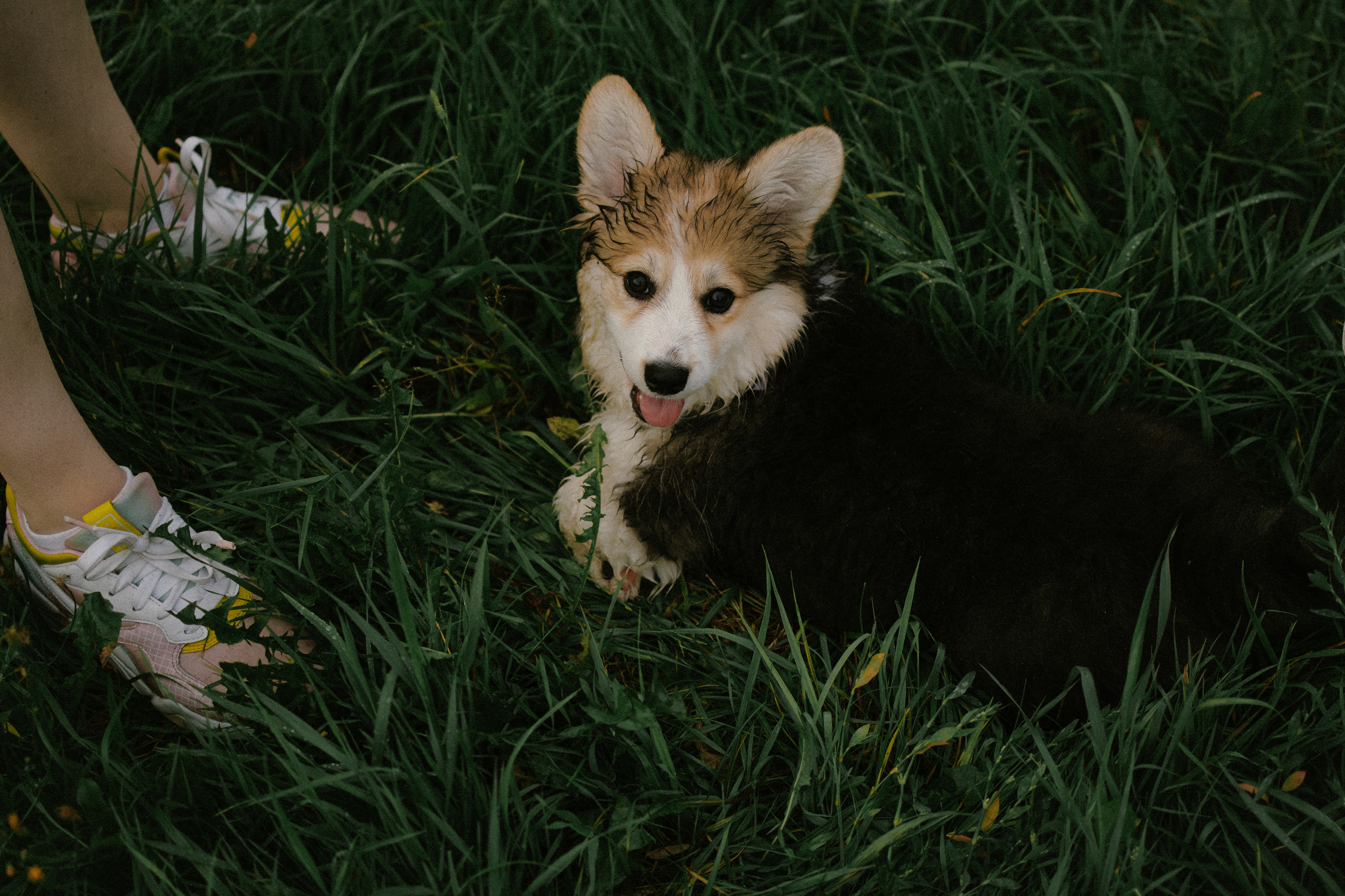 Влада и Мишель. Фотораф — анималист Мария Шистка