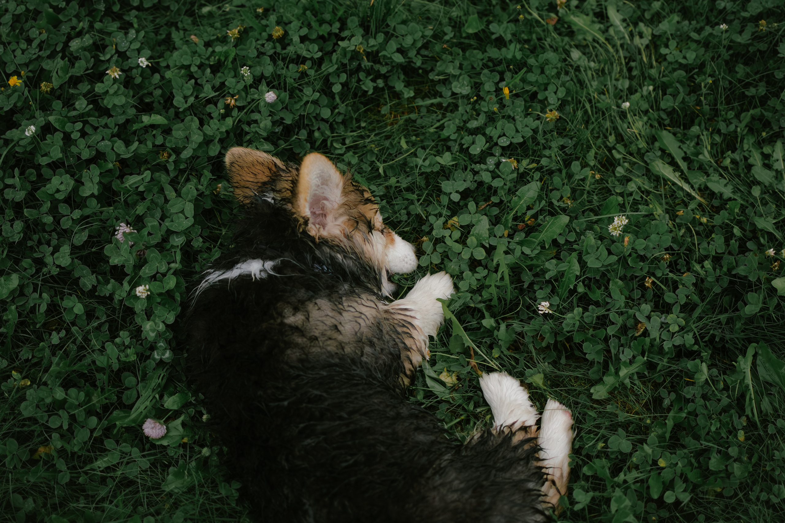 Влада и Мишель. Фотораф — анималист Мария Шистка