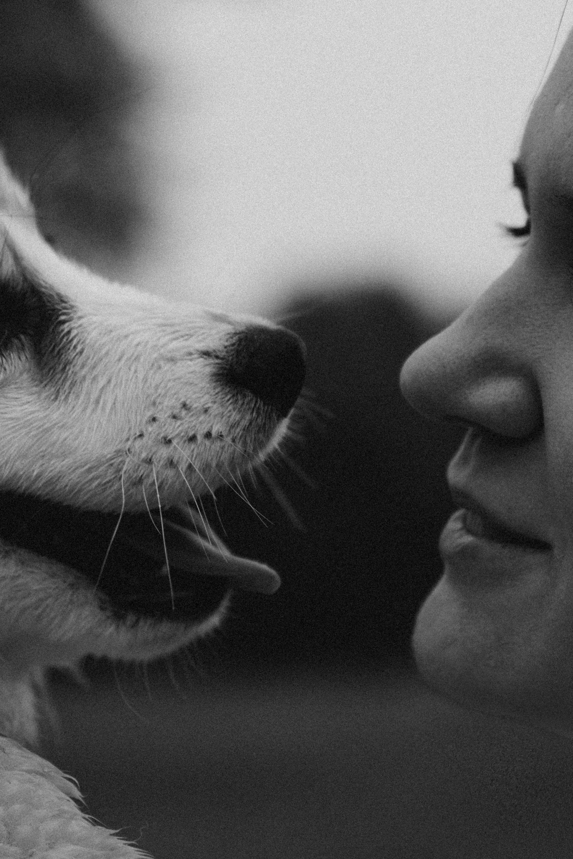 Влада и Мишель. Фотораф — анималист Мария Шистка