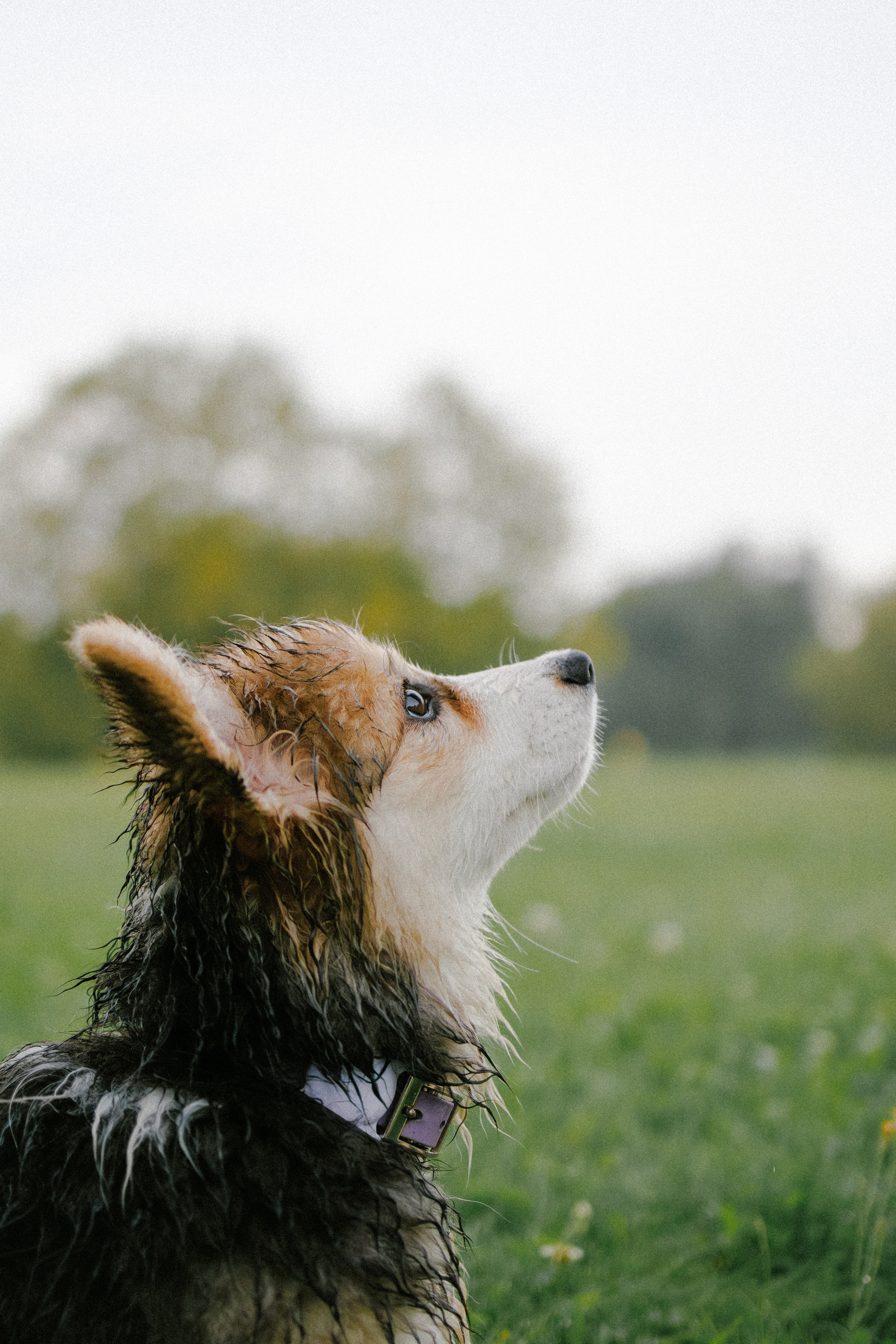 Влада и Мишель. Фотораф — анималист Мария Шистка