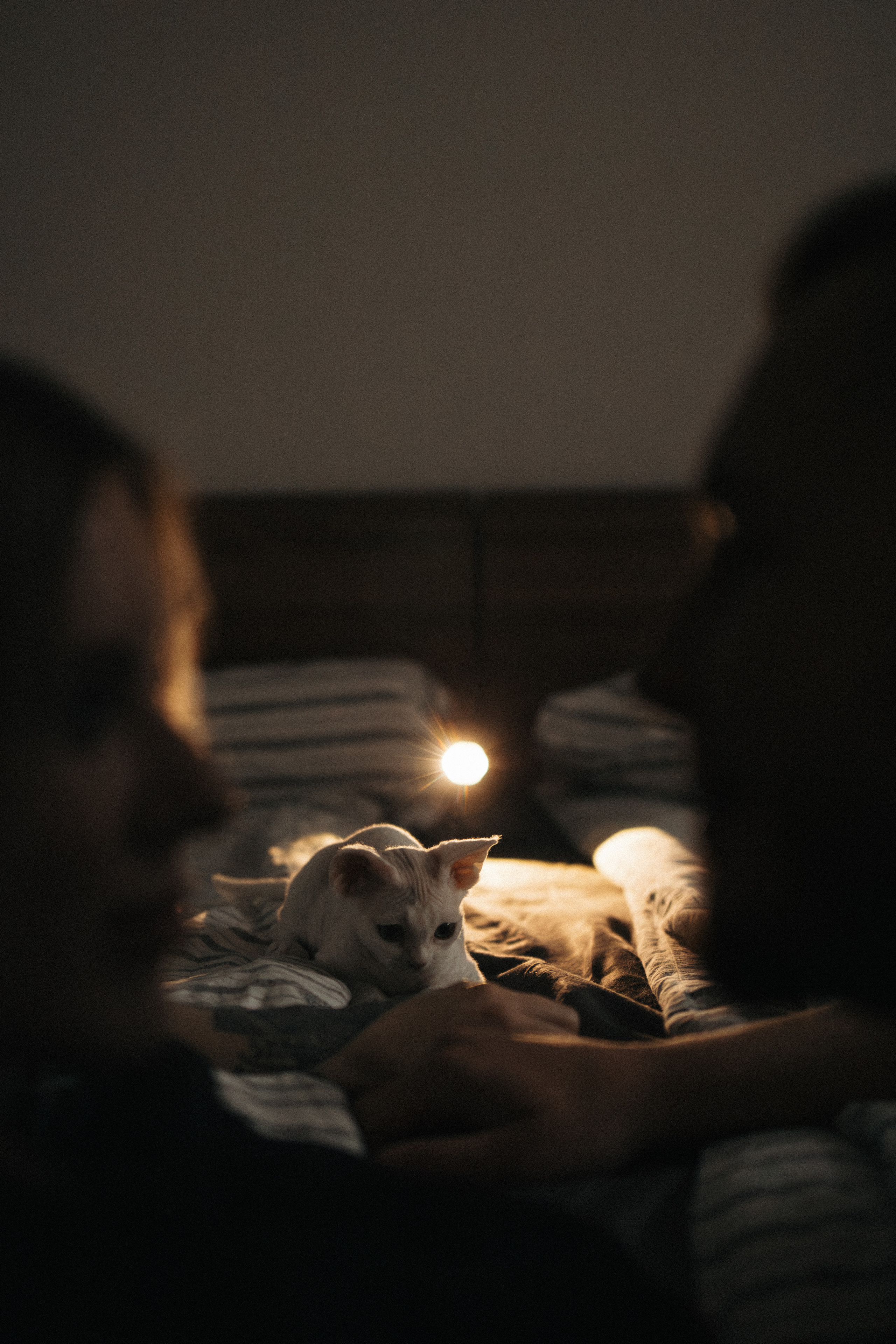 Этери, Саша и Эвия. Фотораф — анималист Мария Шистка