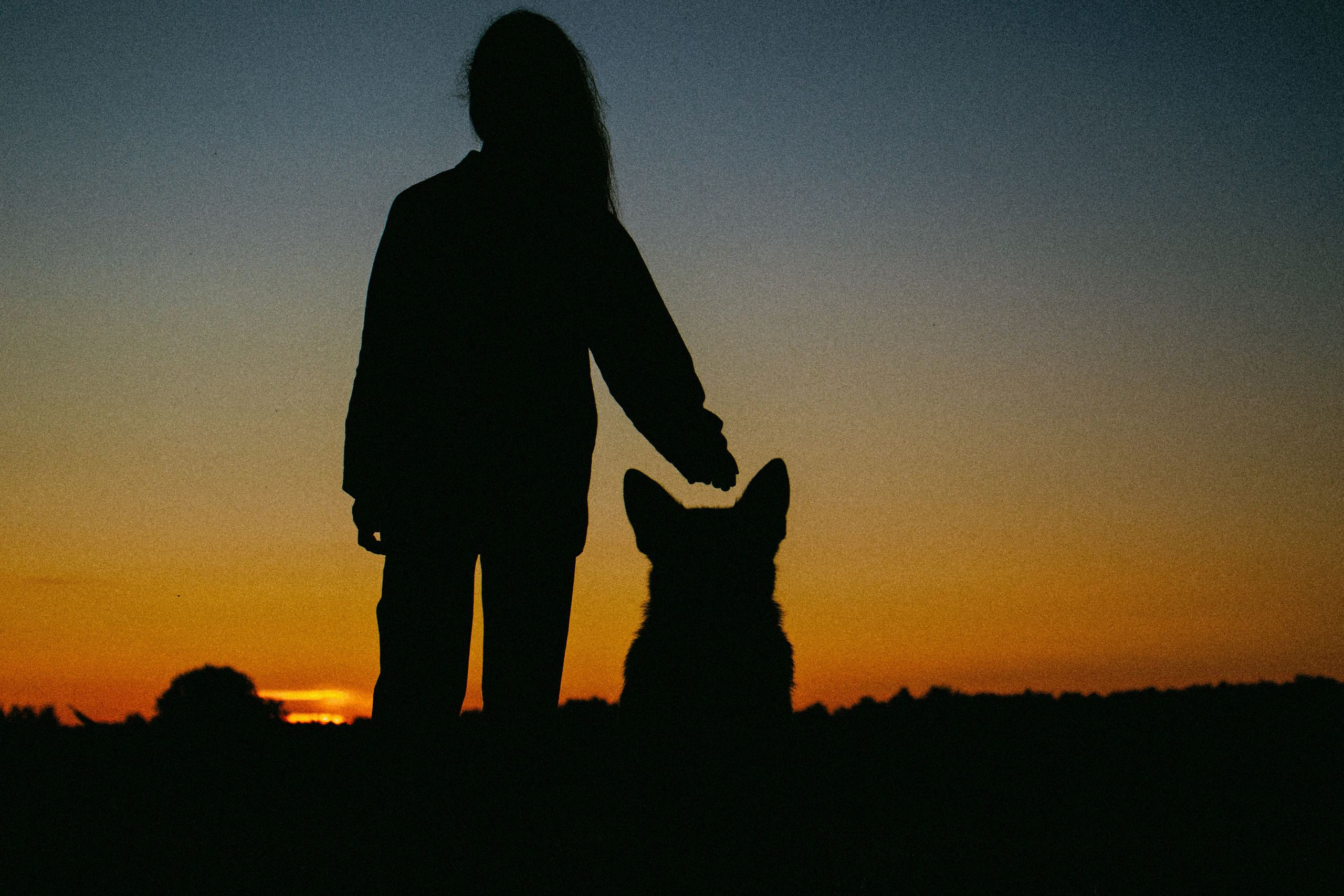 Девочки и рассвет. Фотораф — анималист Мария Шистка