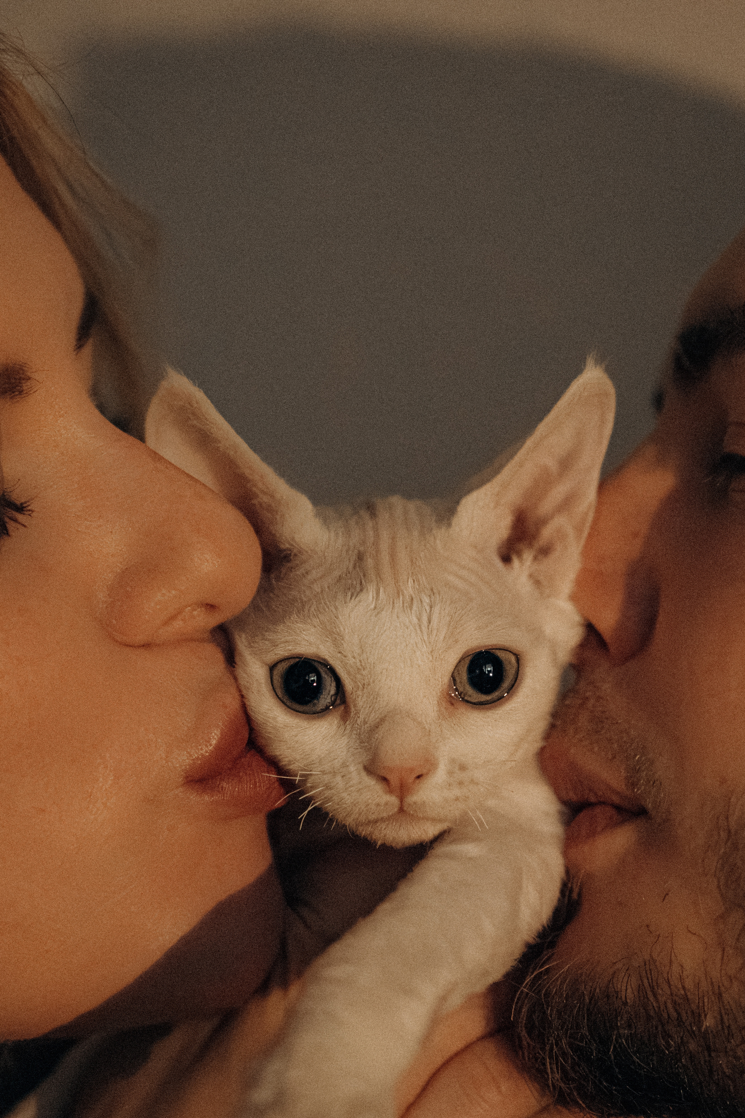 Этери, Саша и Эвия. Фотораф — анималист Мария Шистка