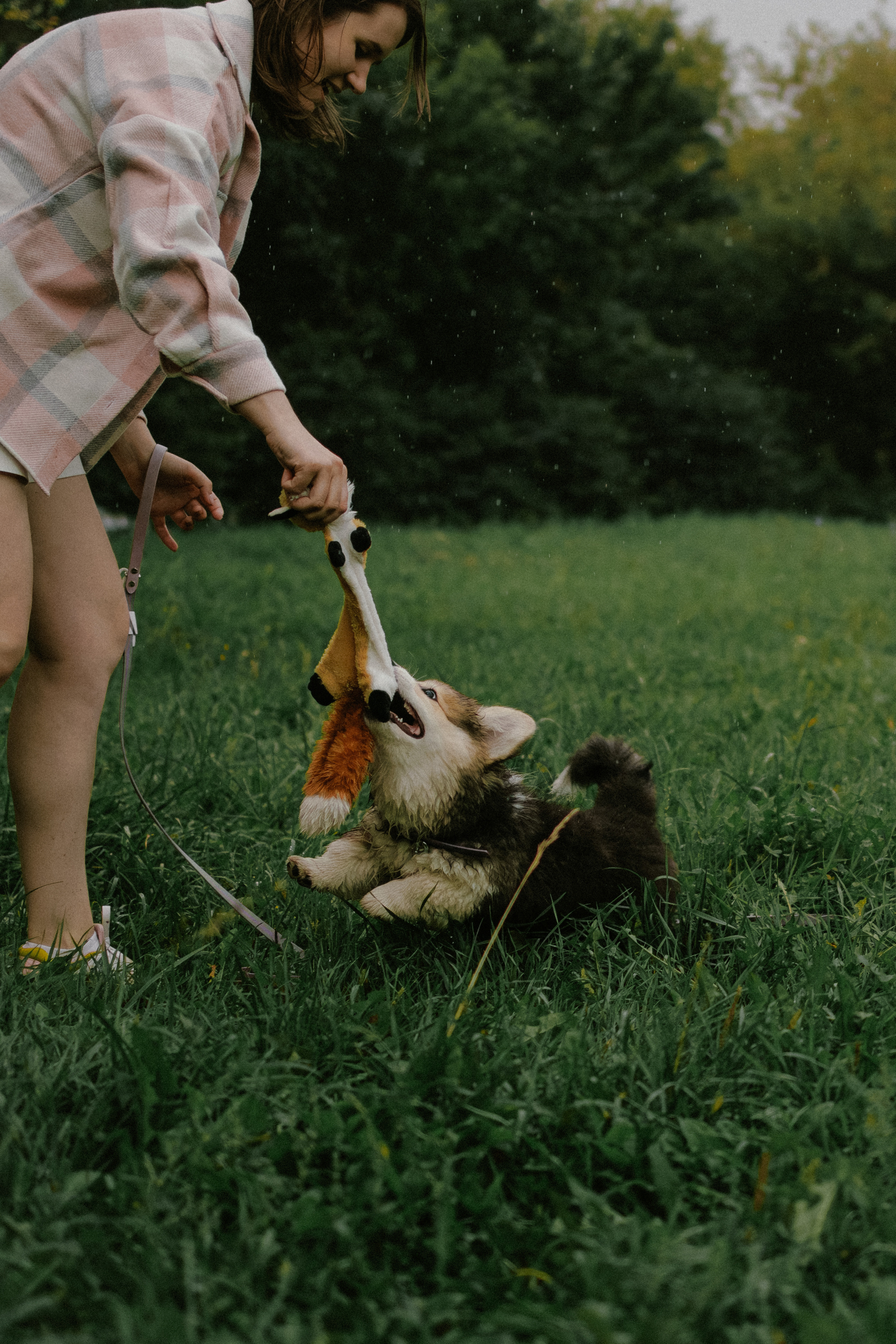 Влада и Мишель. Фотораф — анималист Мария Шистка