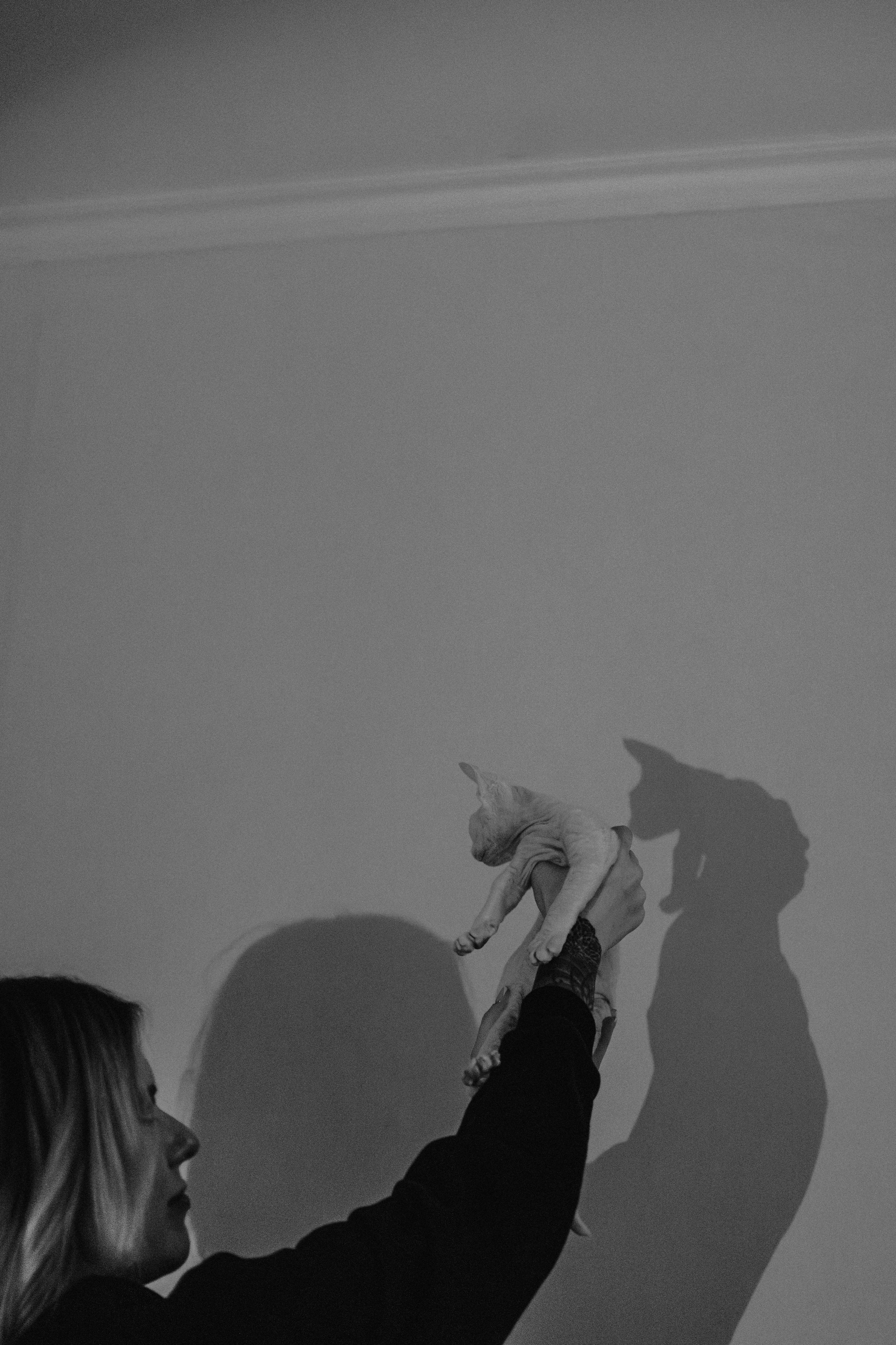 Этери, Саша и Эвия. Фотораф — анималист Мария Шистка