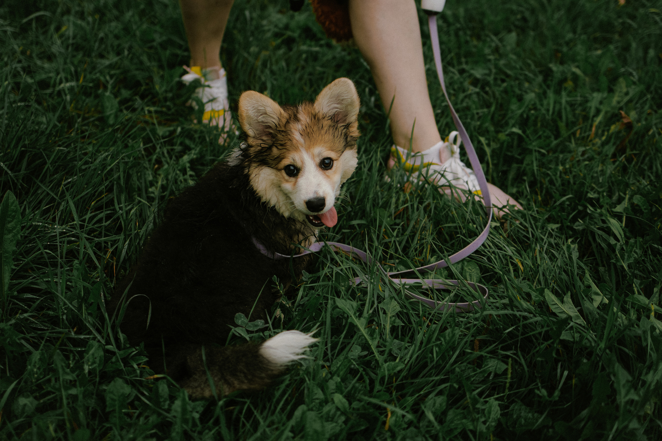 Влада и Мишель. Фотораф — анималист Мария Шистка