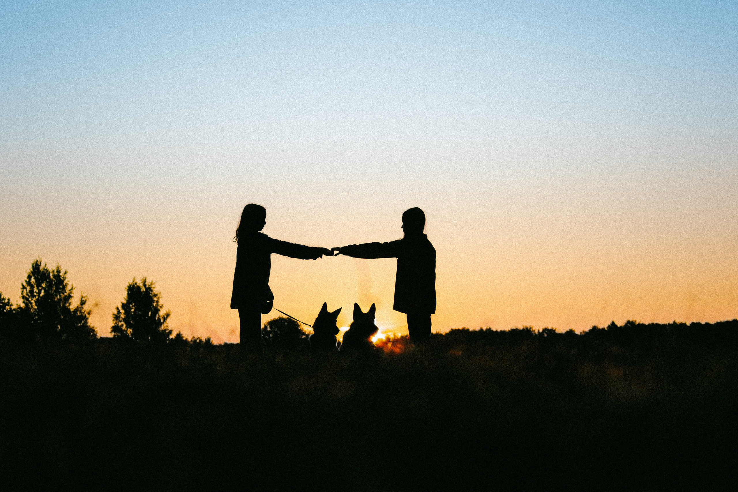 Девочки и рассвет. Фотораф — анималист Мария Шистка
