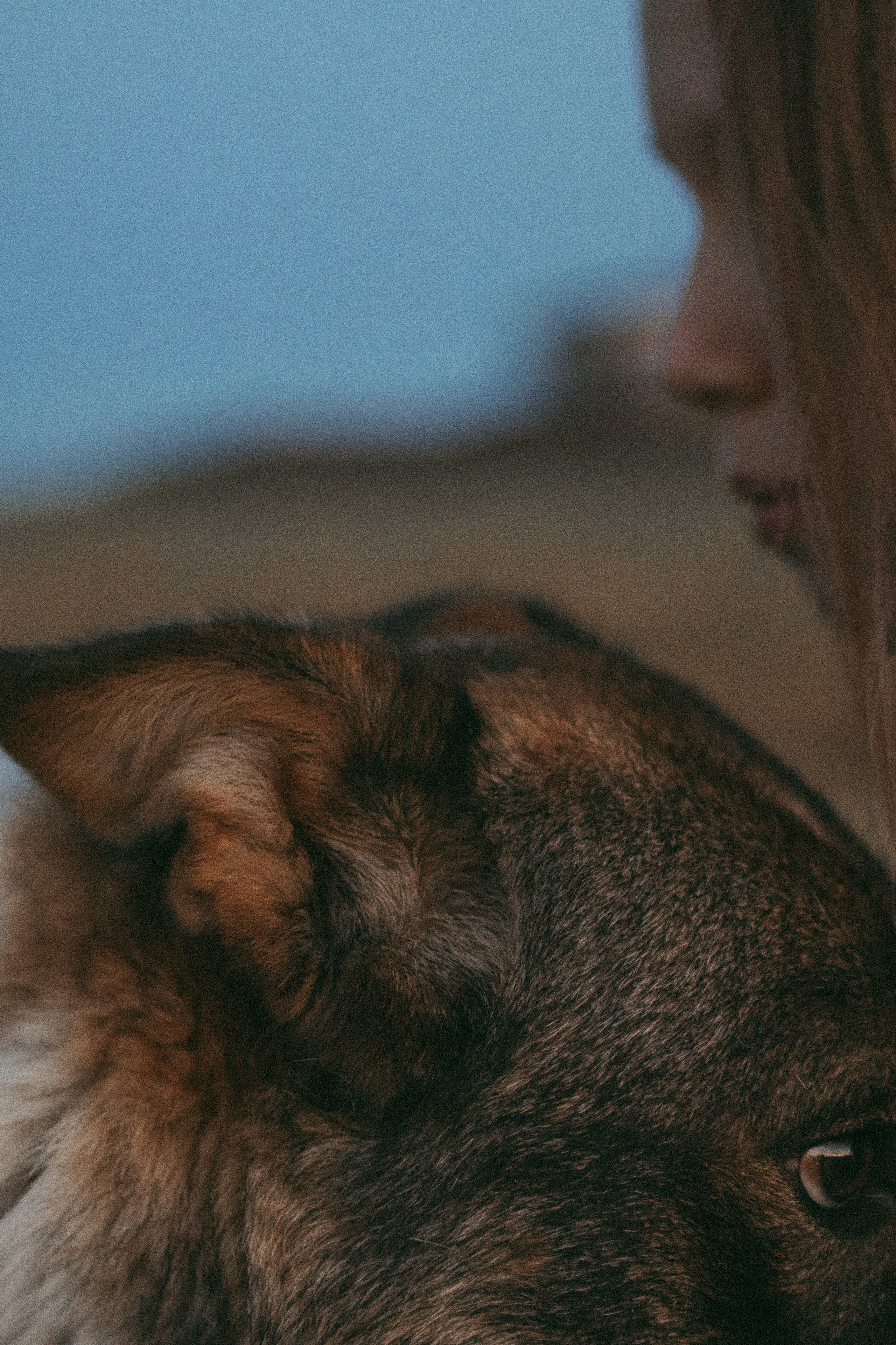 Девочки и рассвет. Фотораф — анималист Мария Шистка