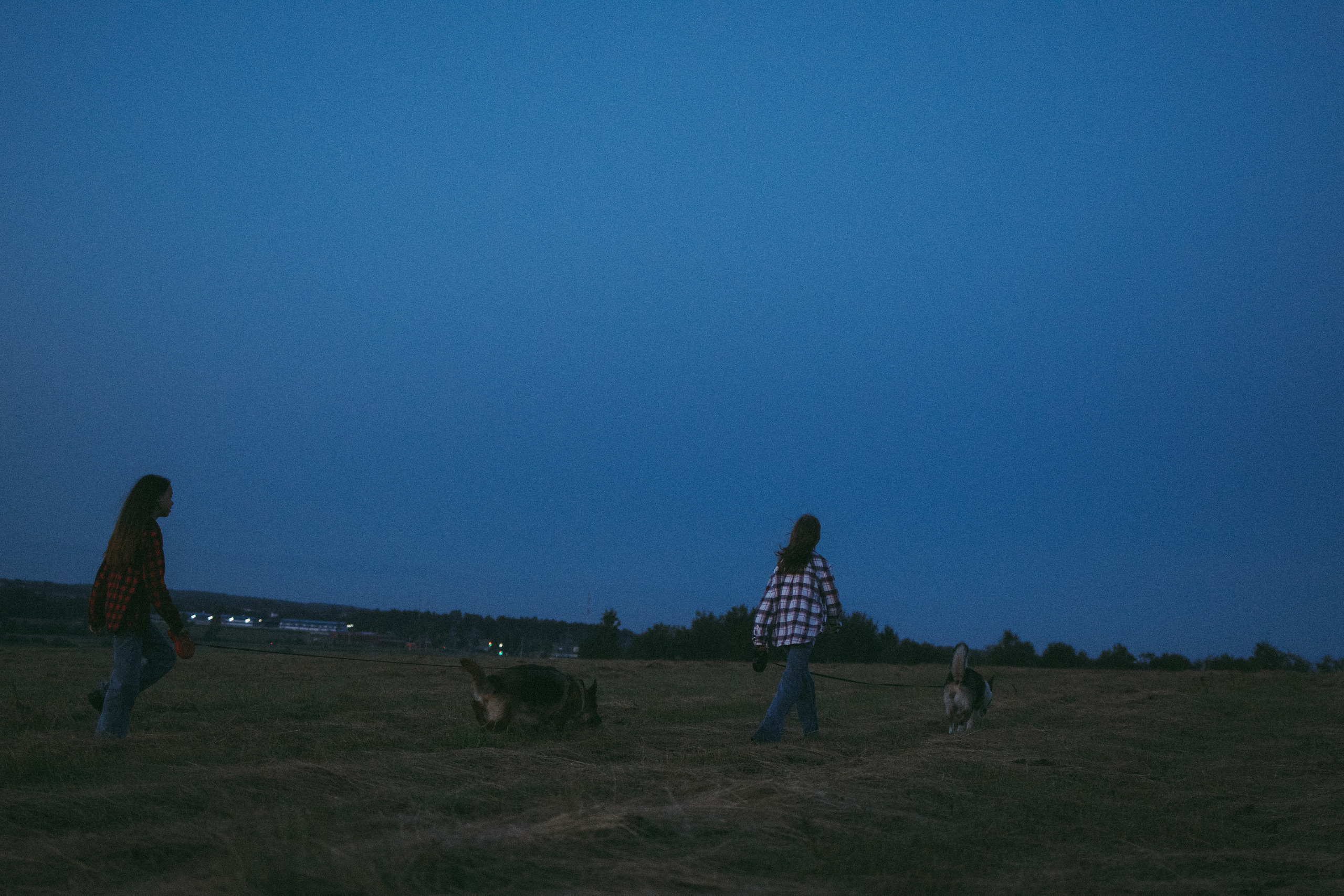 Девочки и рассвет. Фотораф — анималист Мария Шистка