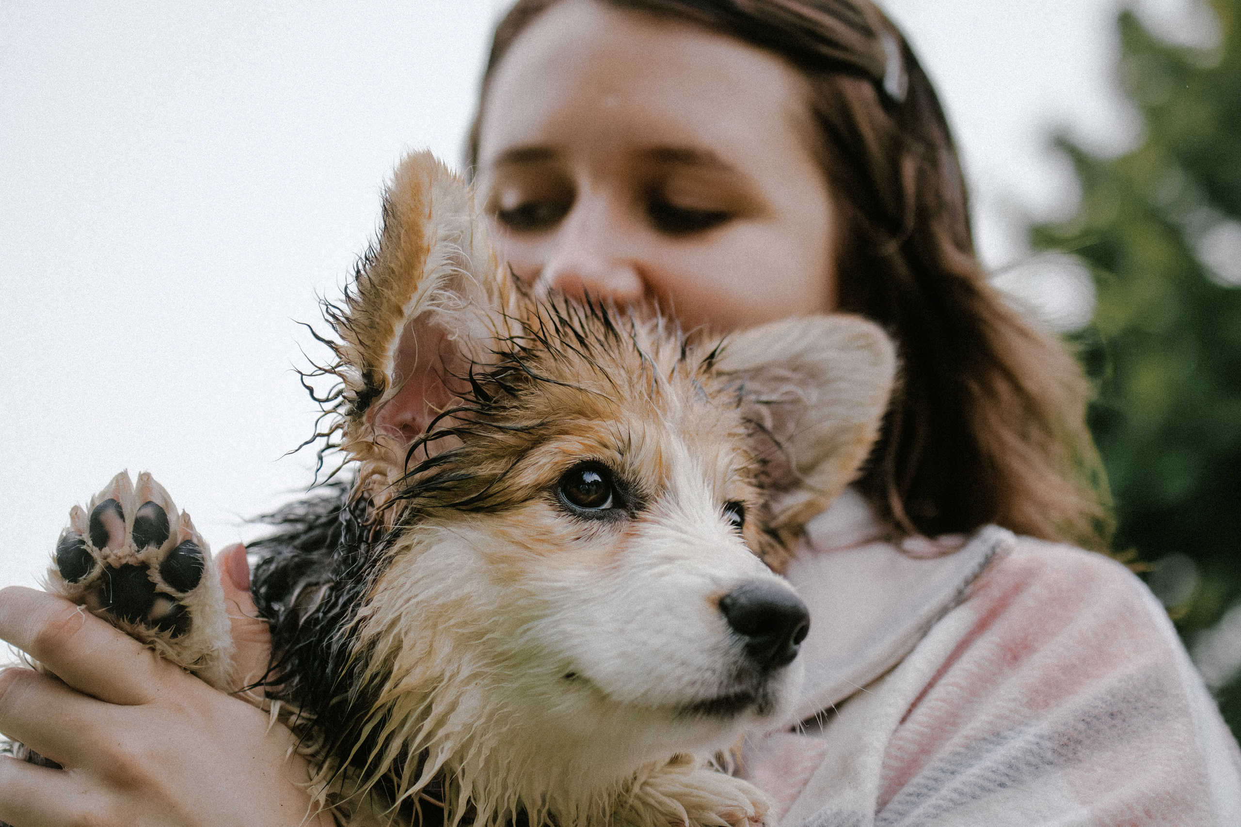 Влада и Мишель. Фотораф — анималист Мария Шистка