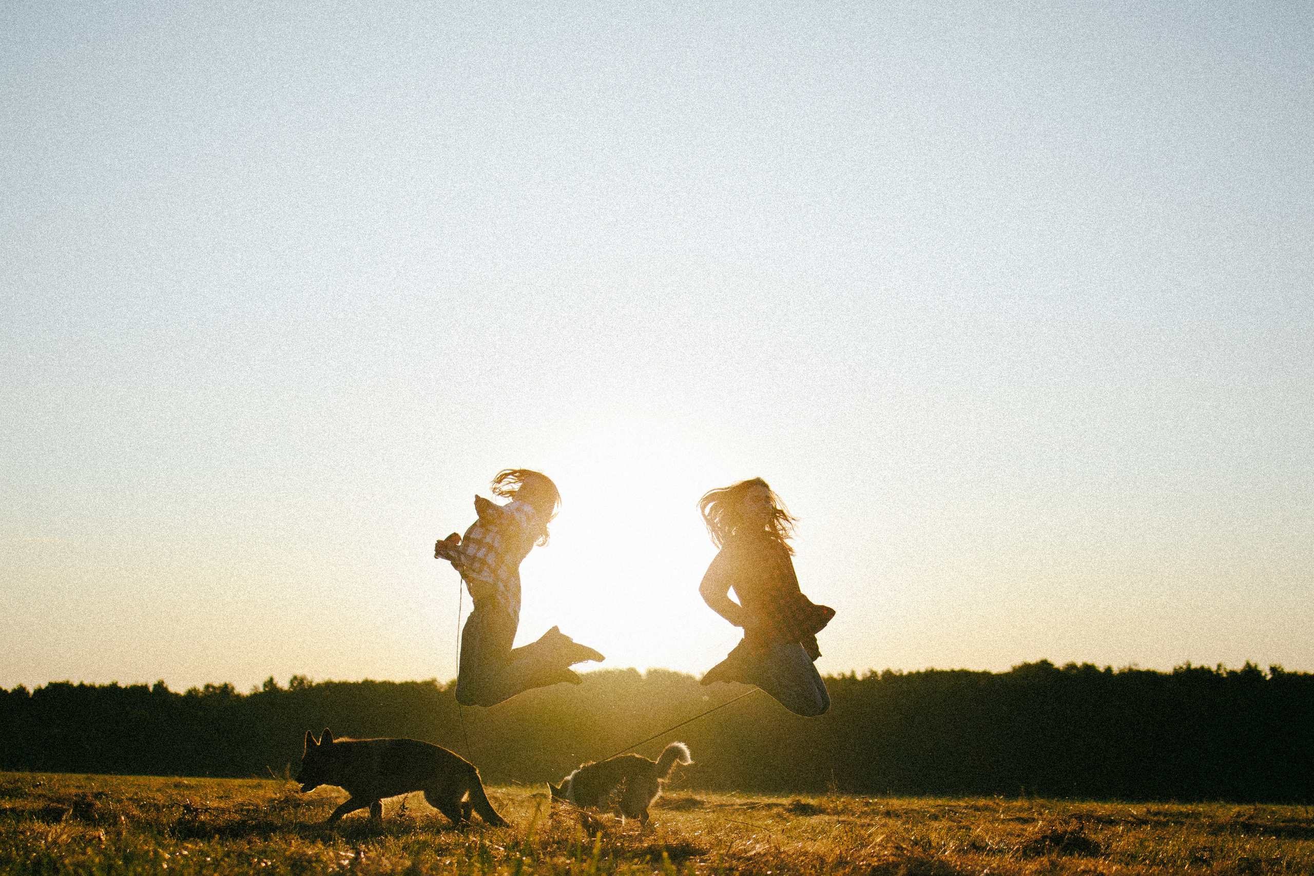Девочки и рассвет. Фотораф — анималист Мария Шистка