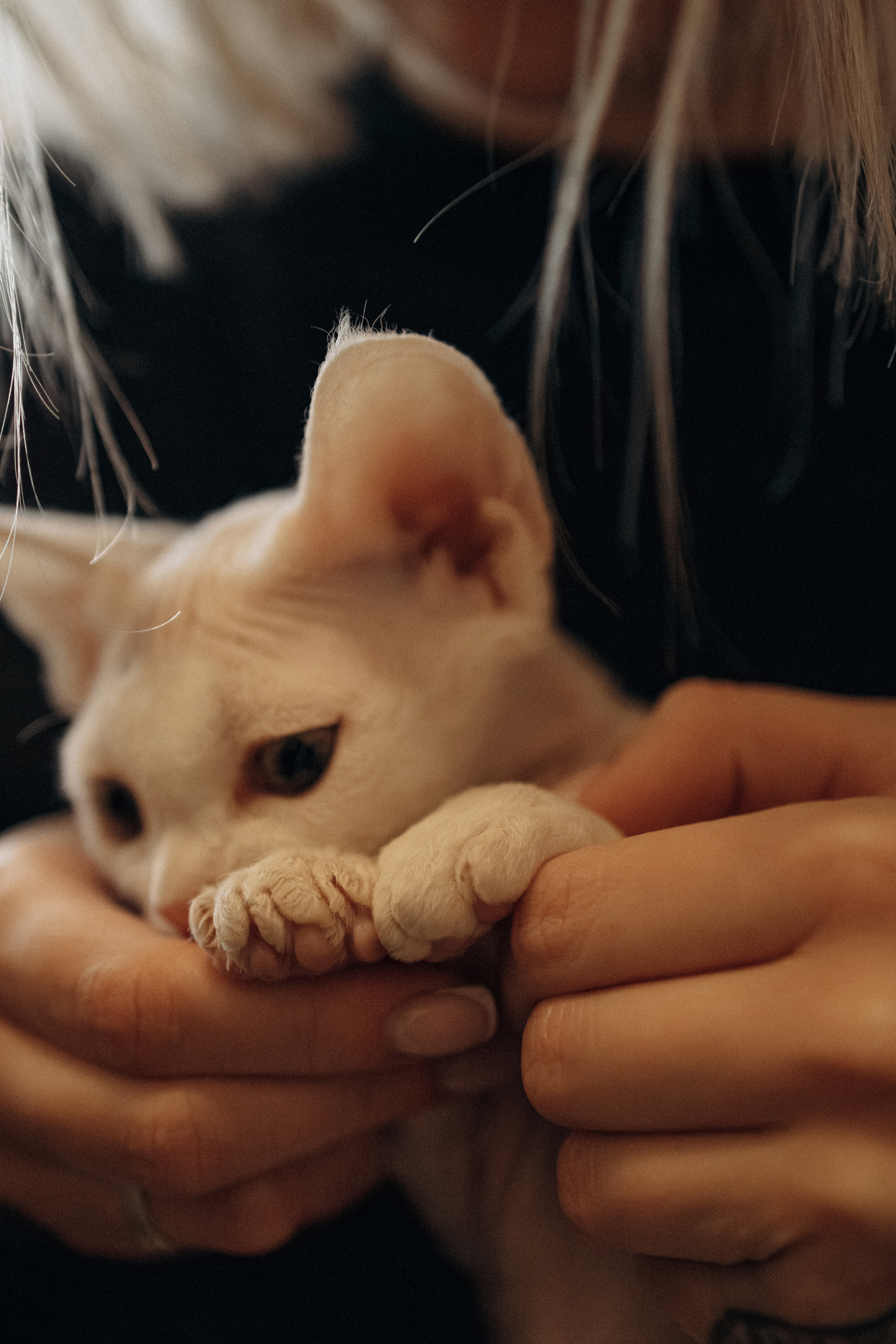 Этери, Саша и Эвия. Фотораф — анималист Мария Шистка