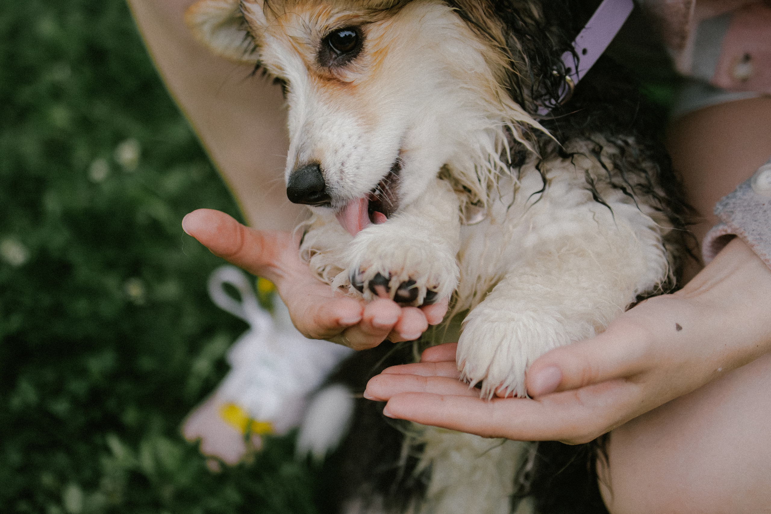 Влада и Мишель. Фотораф — анималист Мария Шистка