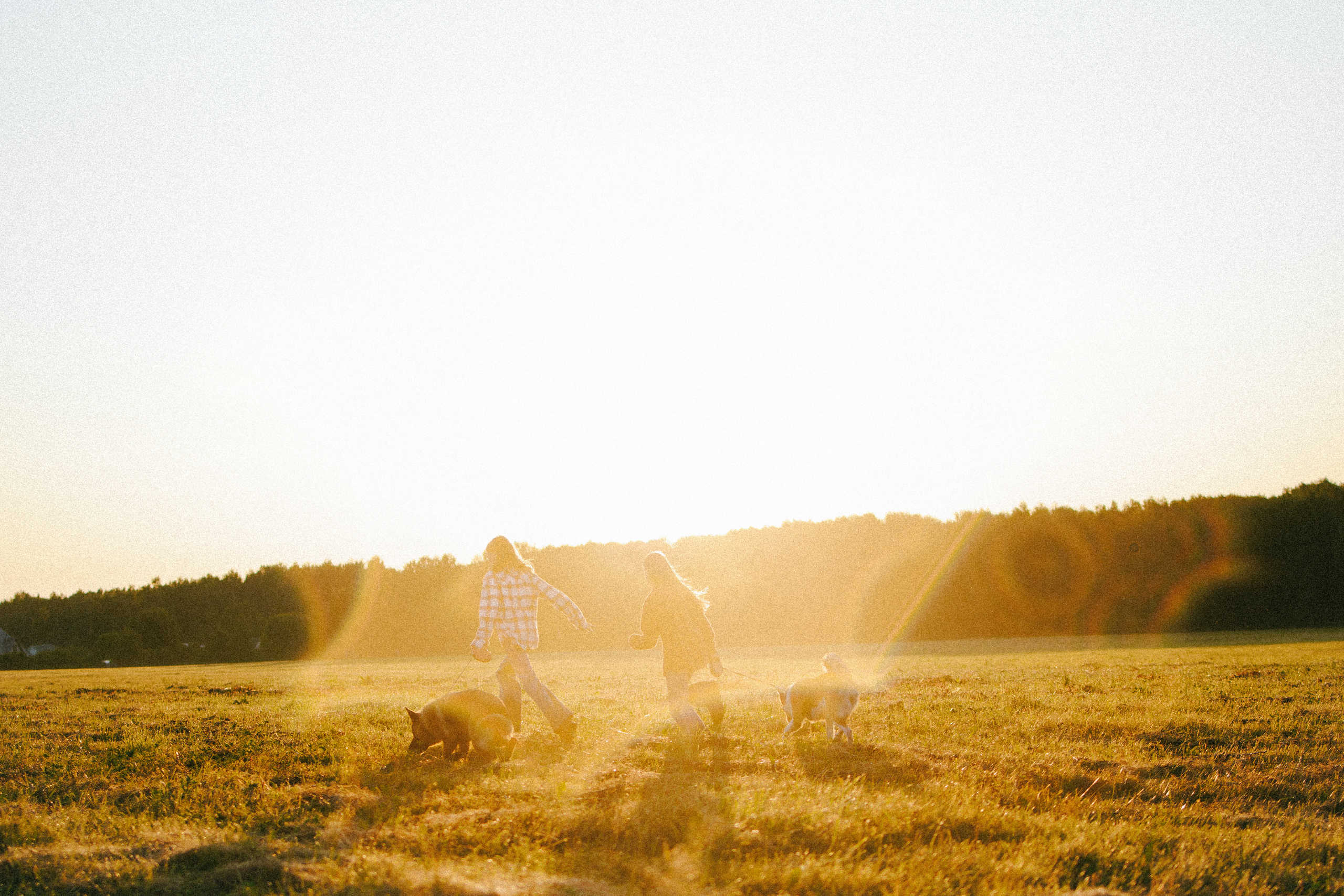 Девочки и рассвет. Фотораф — анималист Мария Шистка