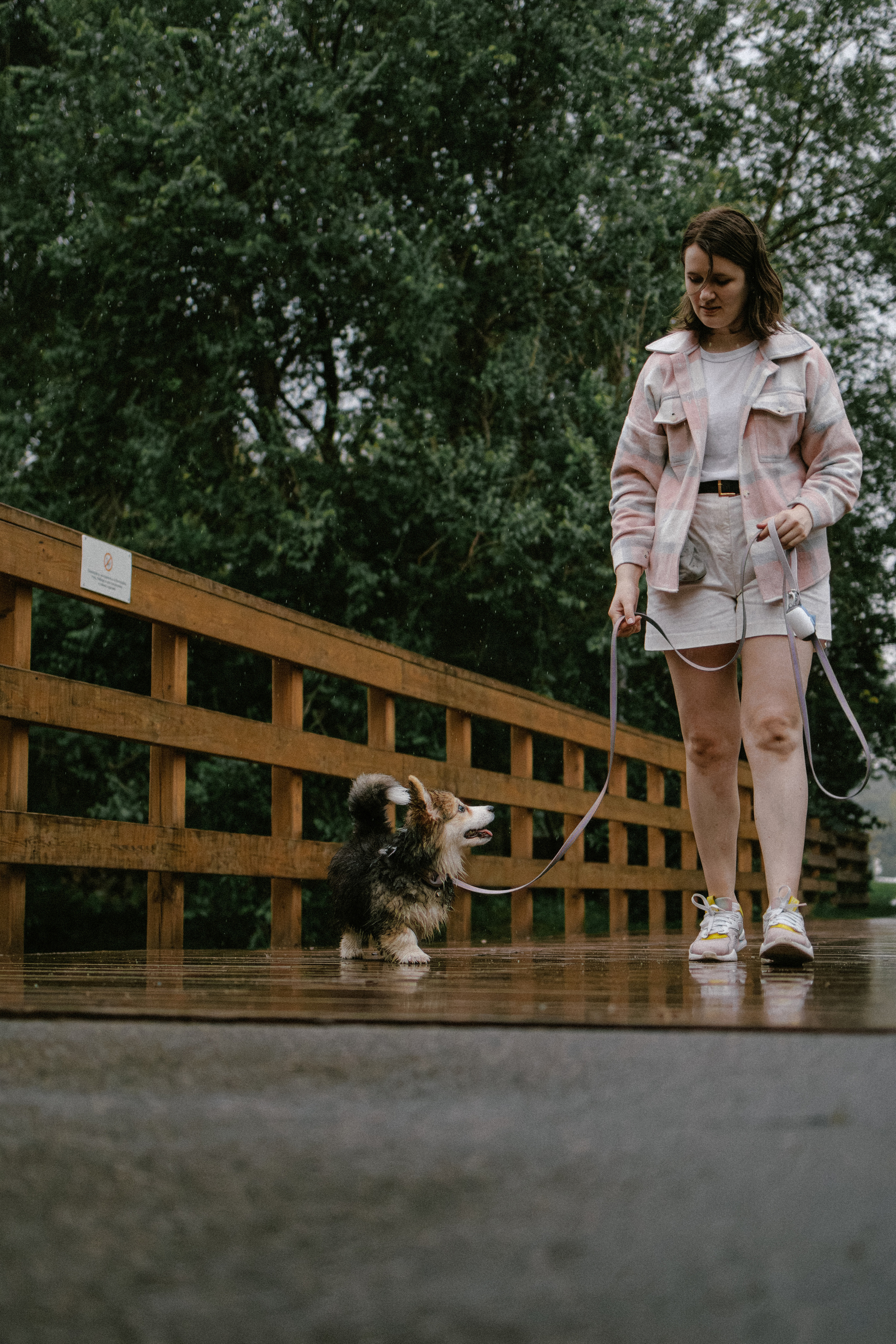 Влада и Мишель. Фотораф — анималист Мария Шистка