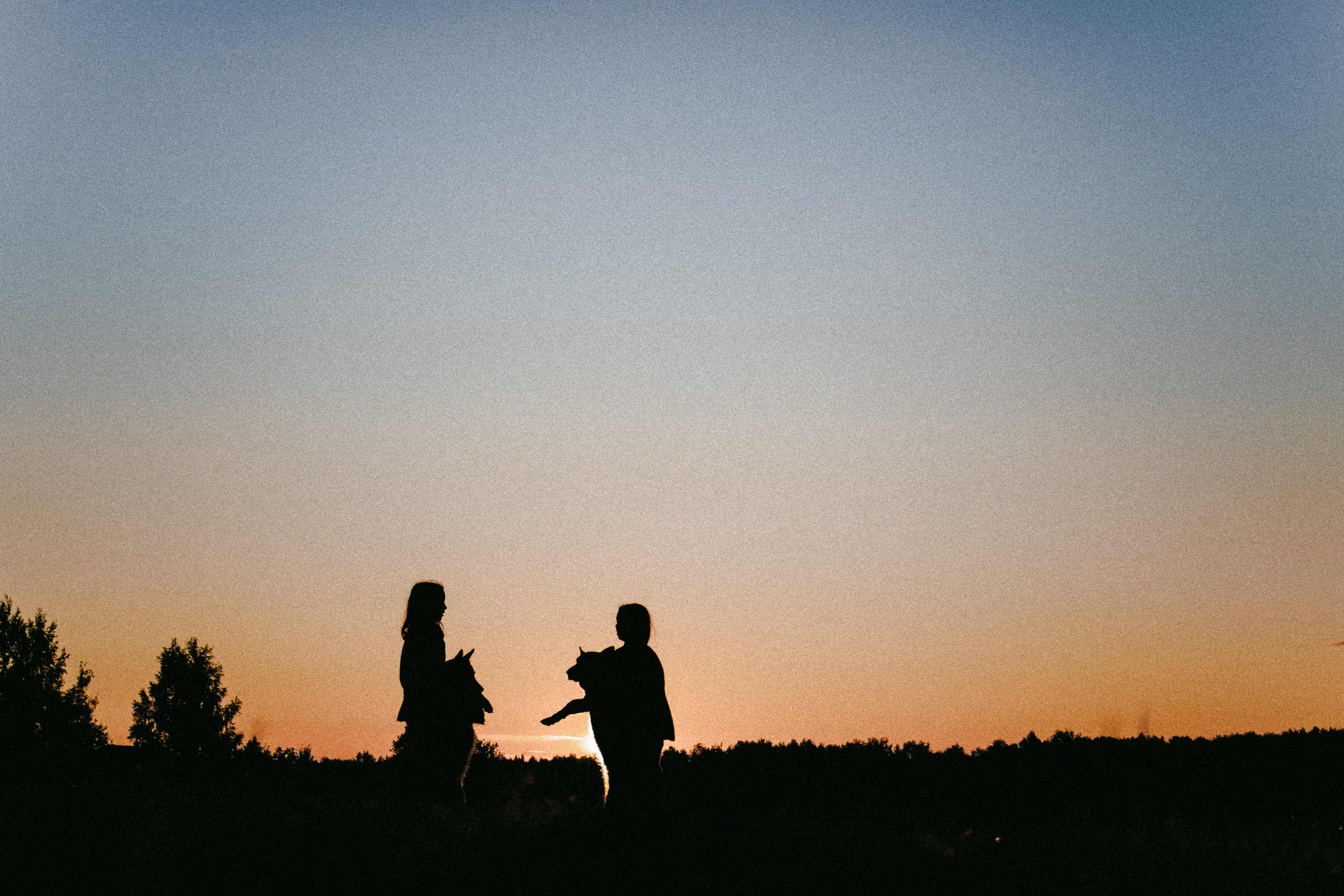 Девочки и рассвет. Фотораф — анималист Мария Шистка