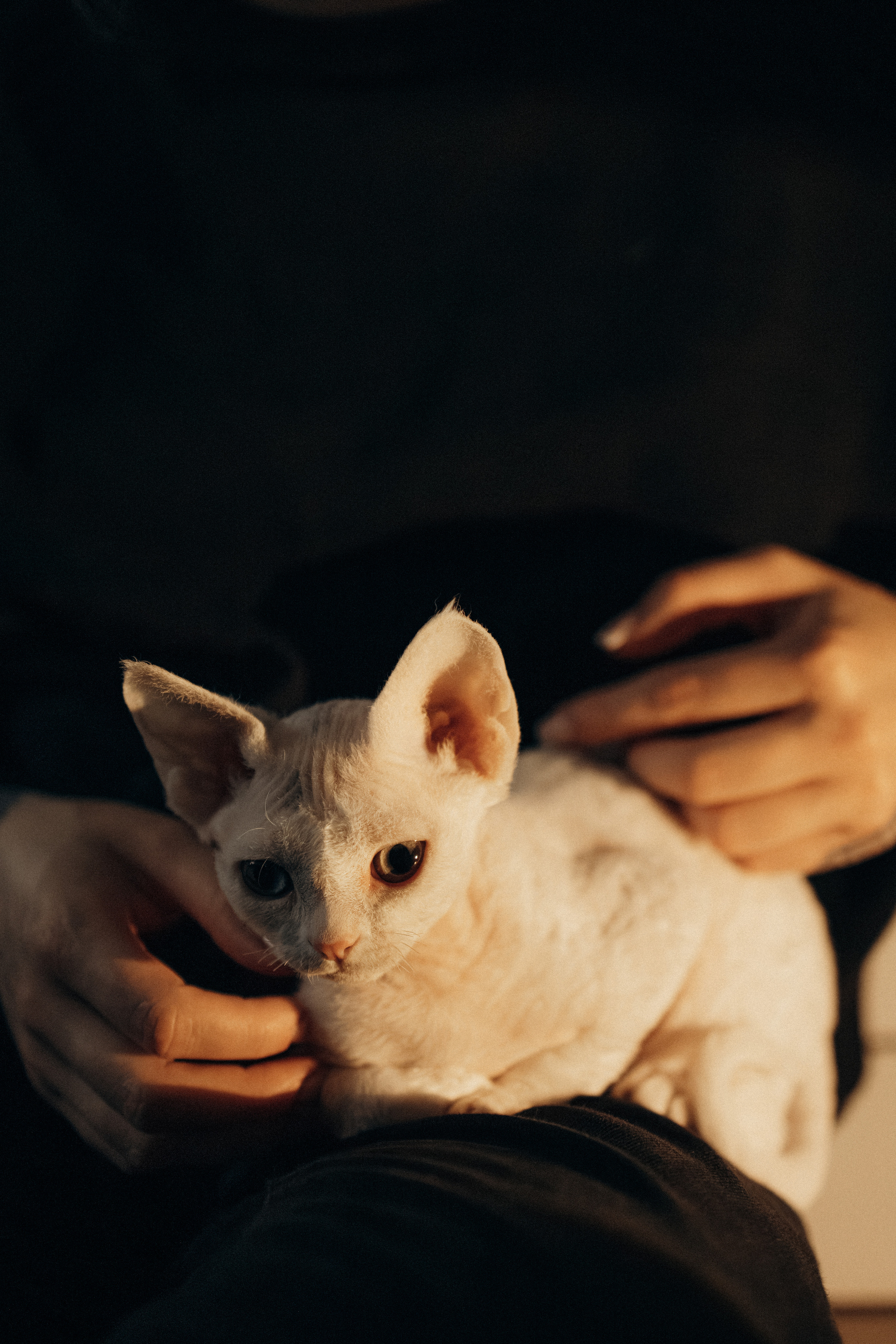 Этери, Саша и Эвия. Фотораф — анималист Мария Шистка