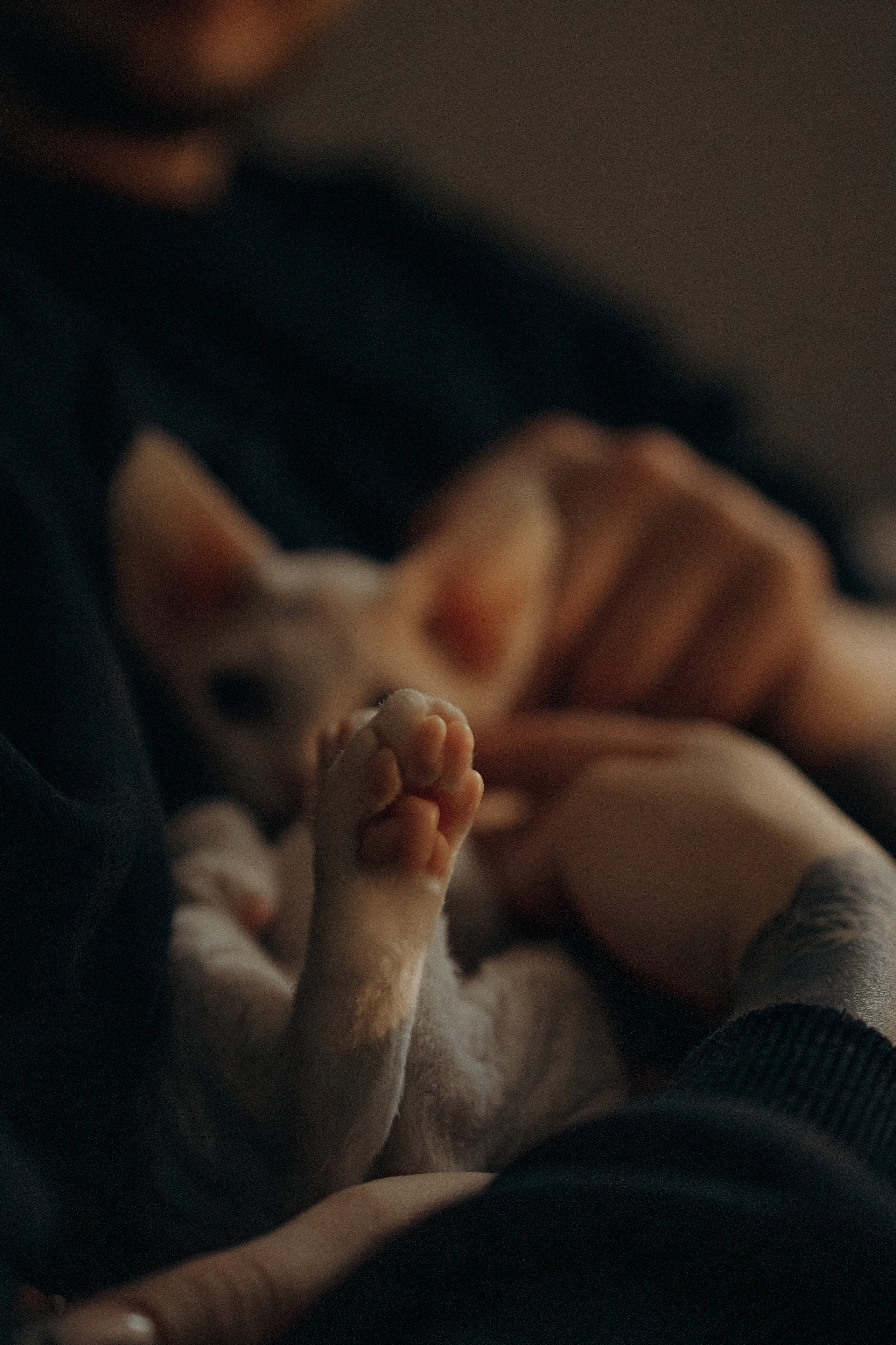 Этери, Саша и Эвия. Фотораф — анималист Мария Шистка