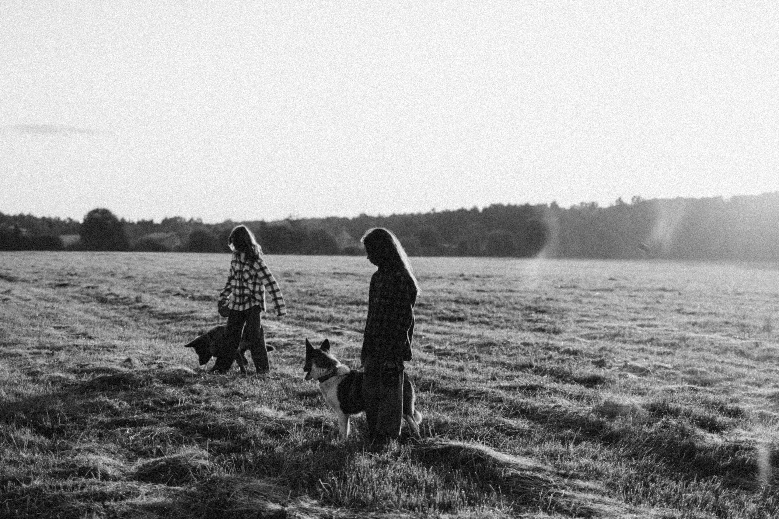Девочки и рассвет. Фотораф — анималист Мария Шистка