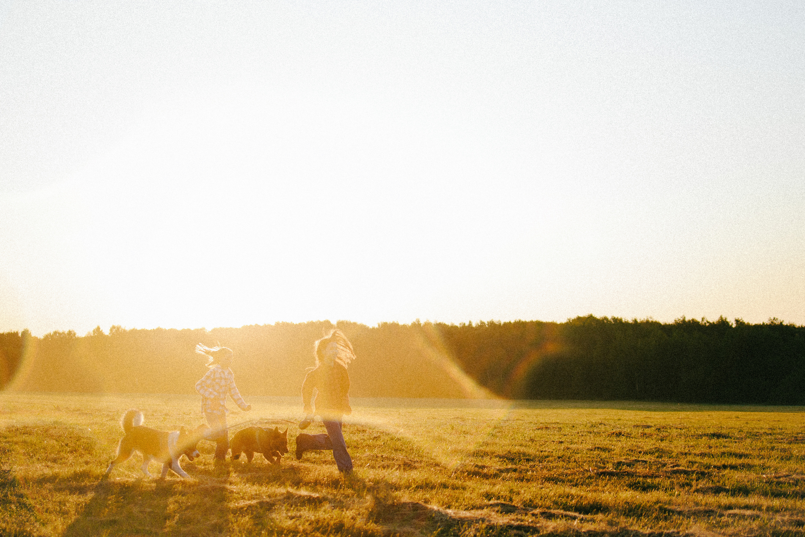 Девочки и рассвет. Фотораф — анималист Мария Шистка