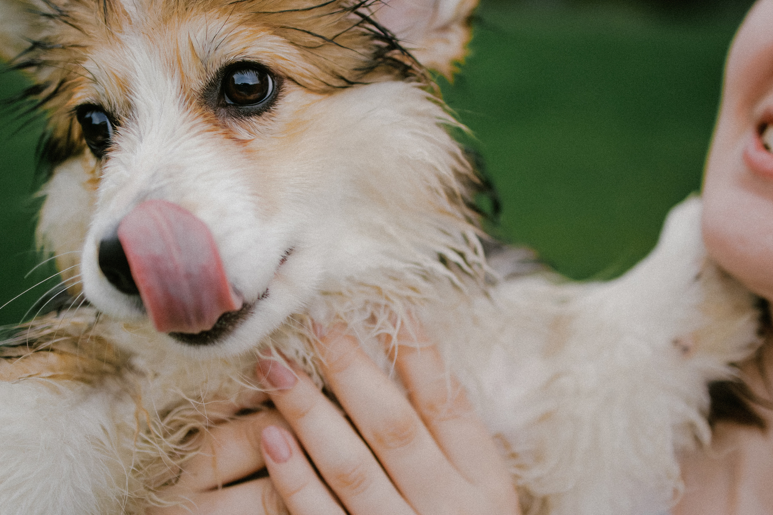 Влада и Мишель. Фотораф — анималист Мария Шистка