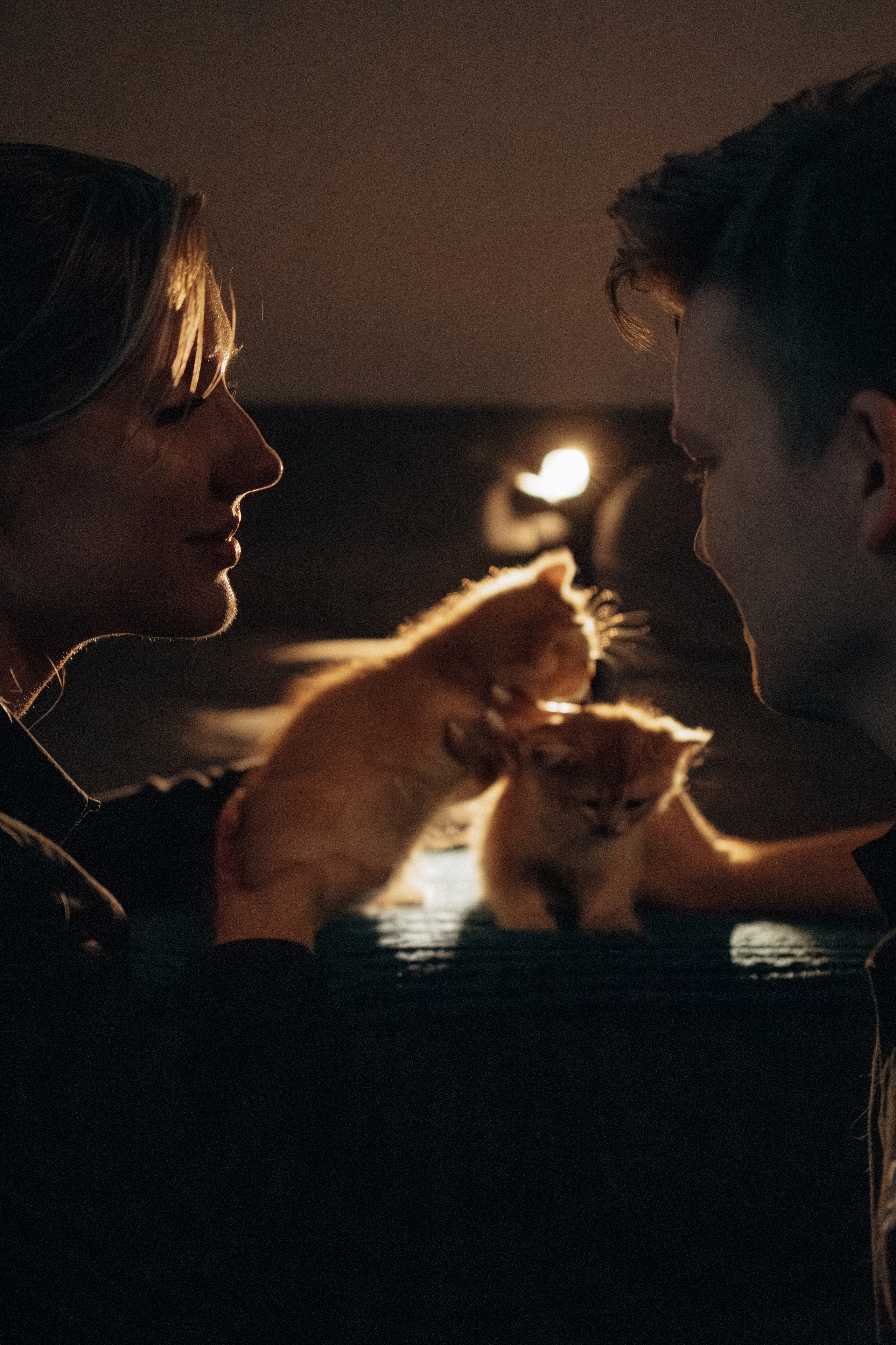 Илья, Люба и котики. Фотораф — анималист Мария Шистка