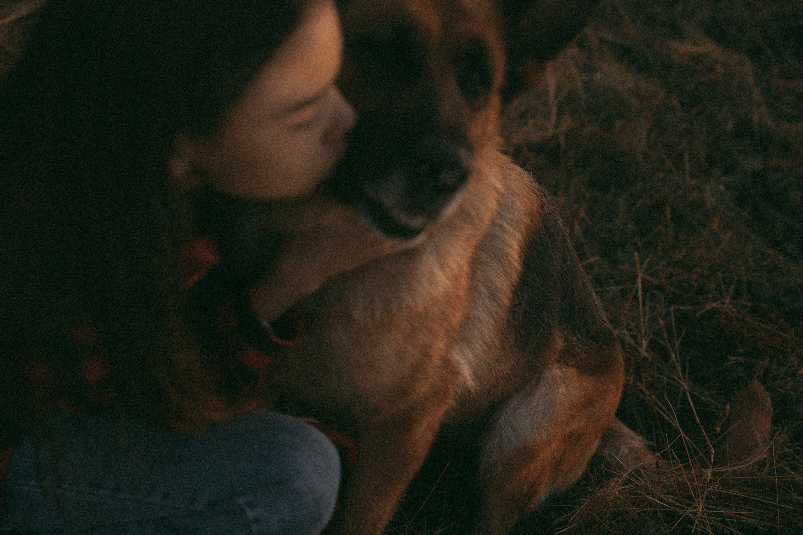 Девочки и рассвет. Фотораф — анималист Мария Шистка
