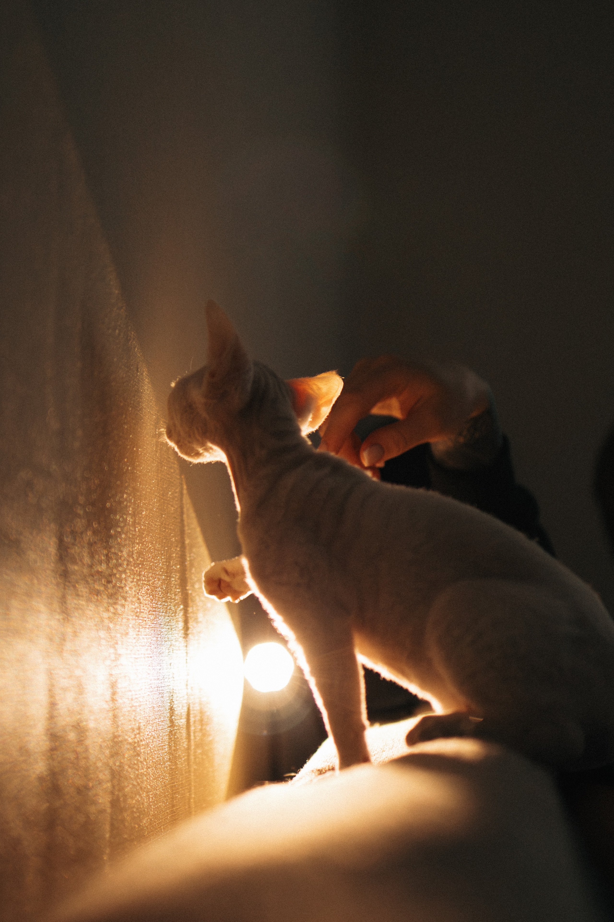 Этери, Саша и Эвия. Фотораф — анималист Мария Шистка