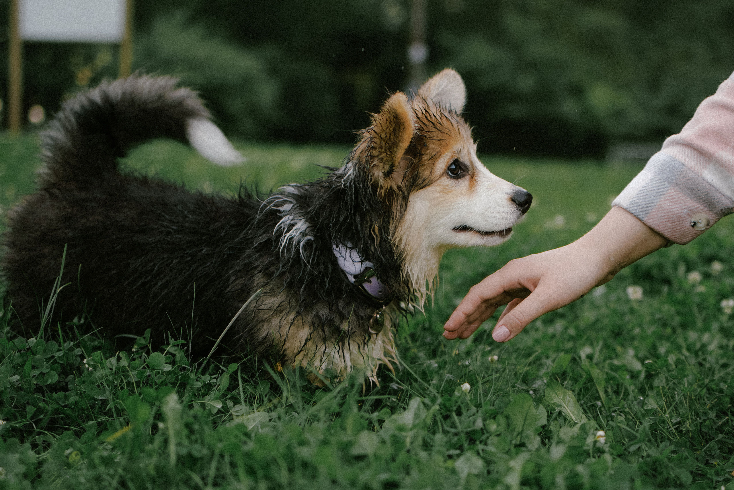 Влада и Мишель. Фотораф — анималист Мария Шистка