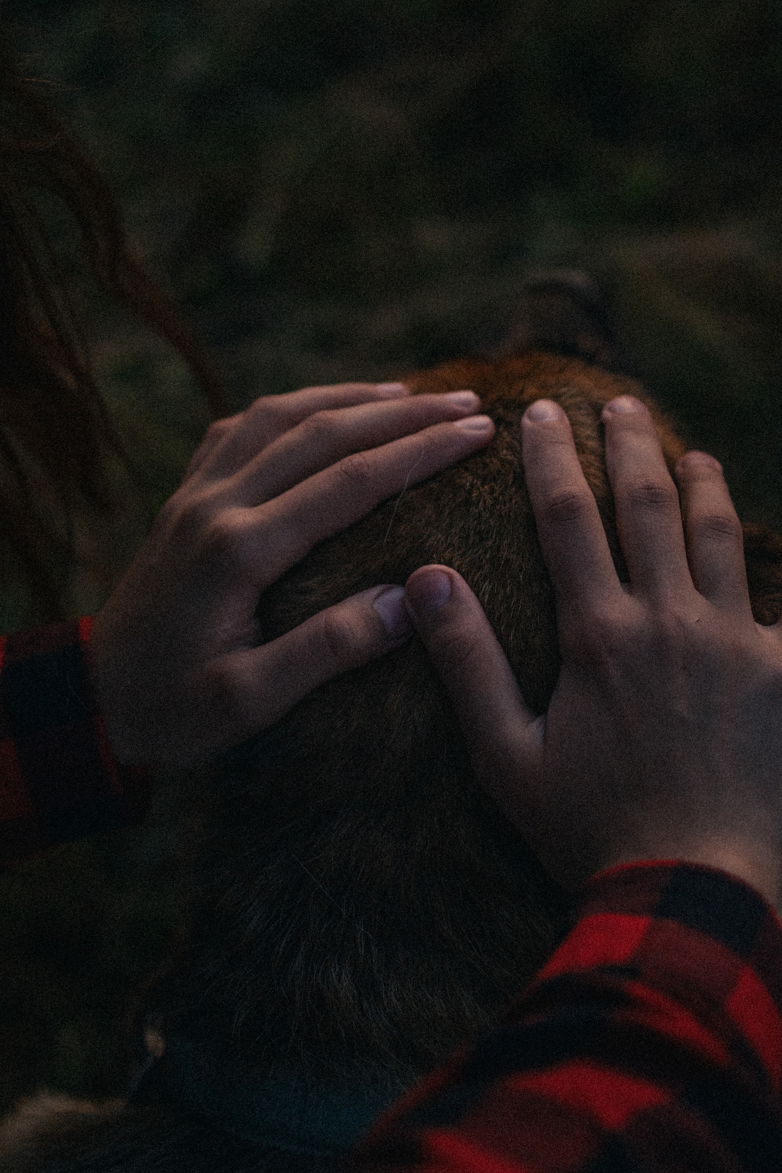 Девочки и рассвет. Фотораф — анималист Мария Шистка