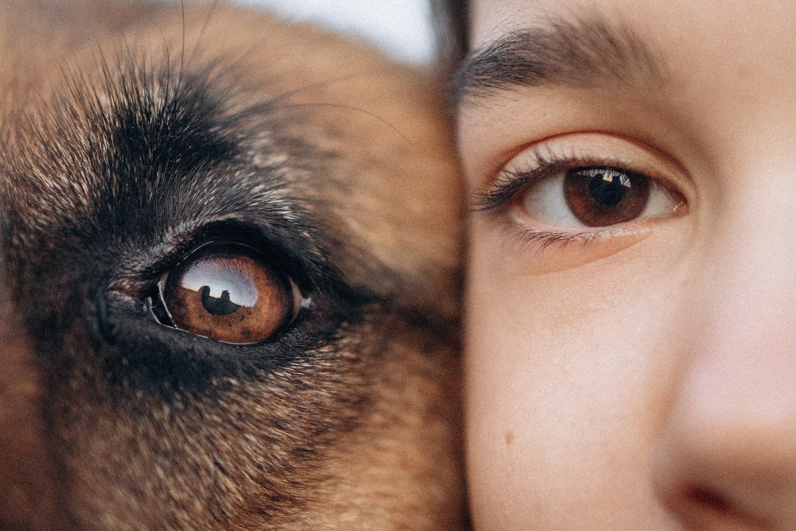 Девочки и рассвет. Фотораф — анималист Мария Шистка