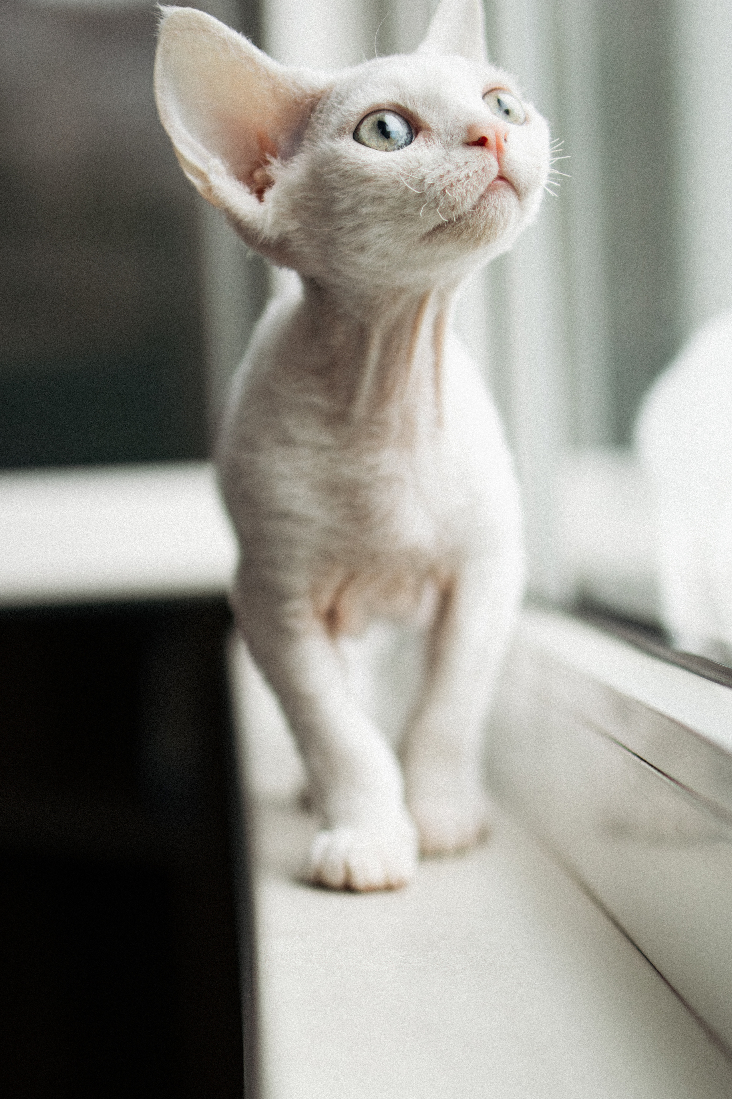 Этери, Саша и Эвия. Фотораф — анималист Мария Шистка